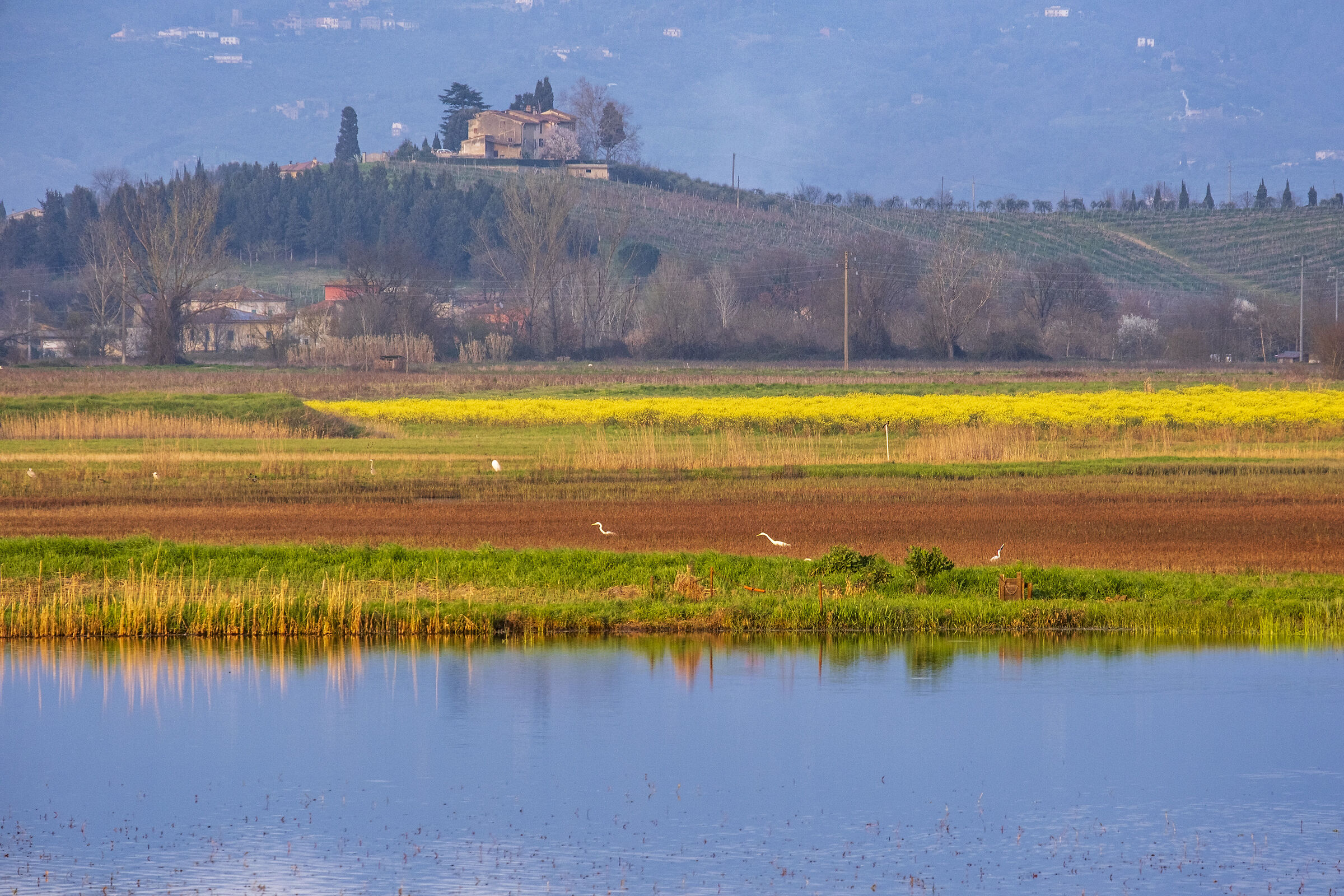 the colours of the Marshes