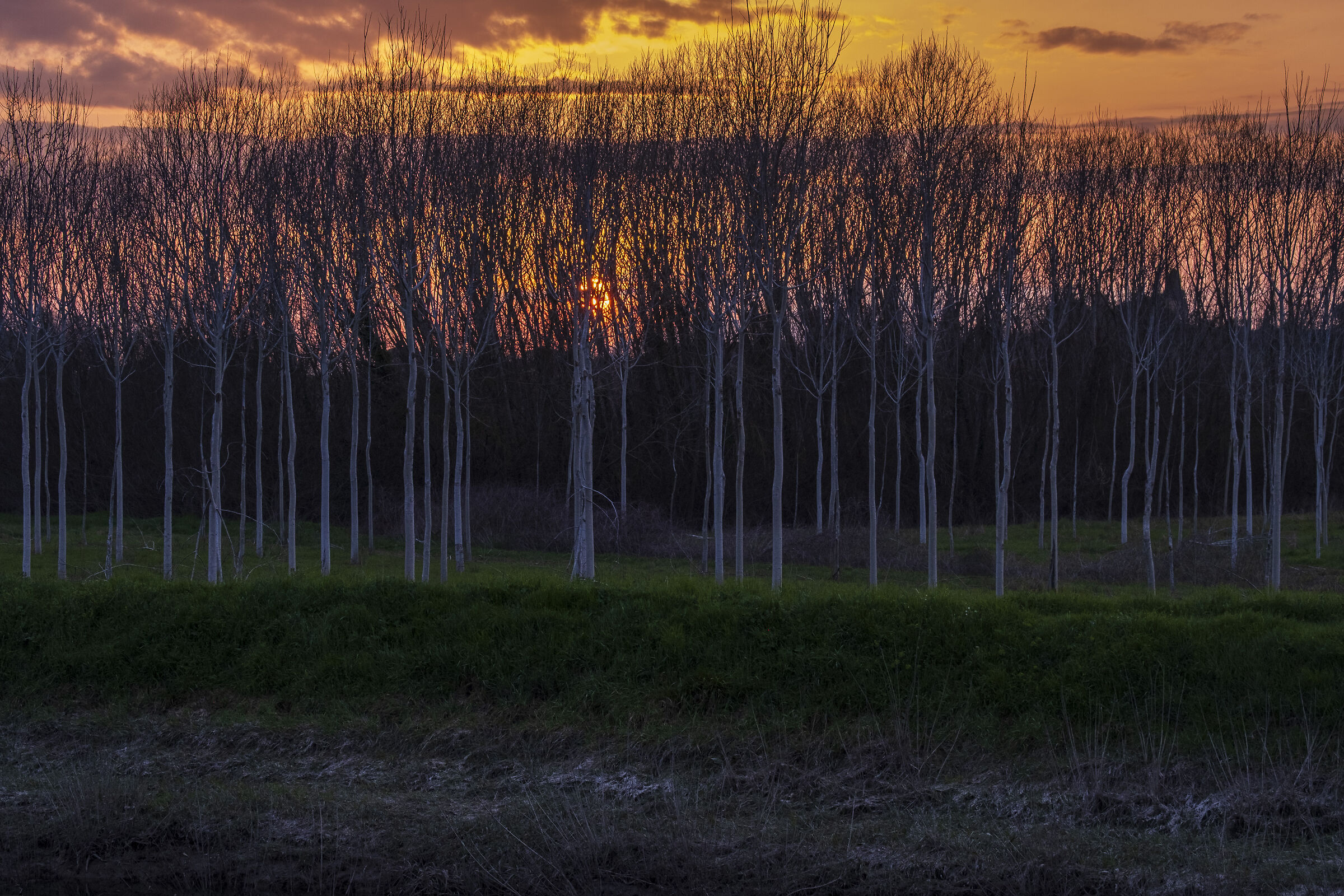 the colours of the Marshes