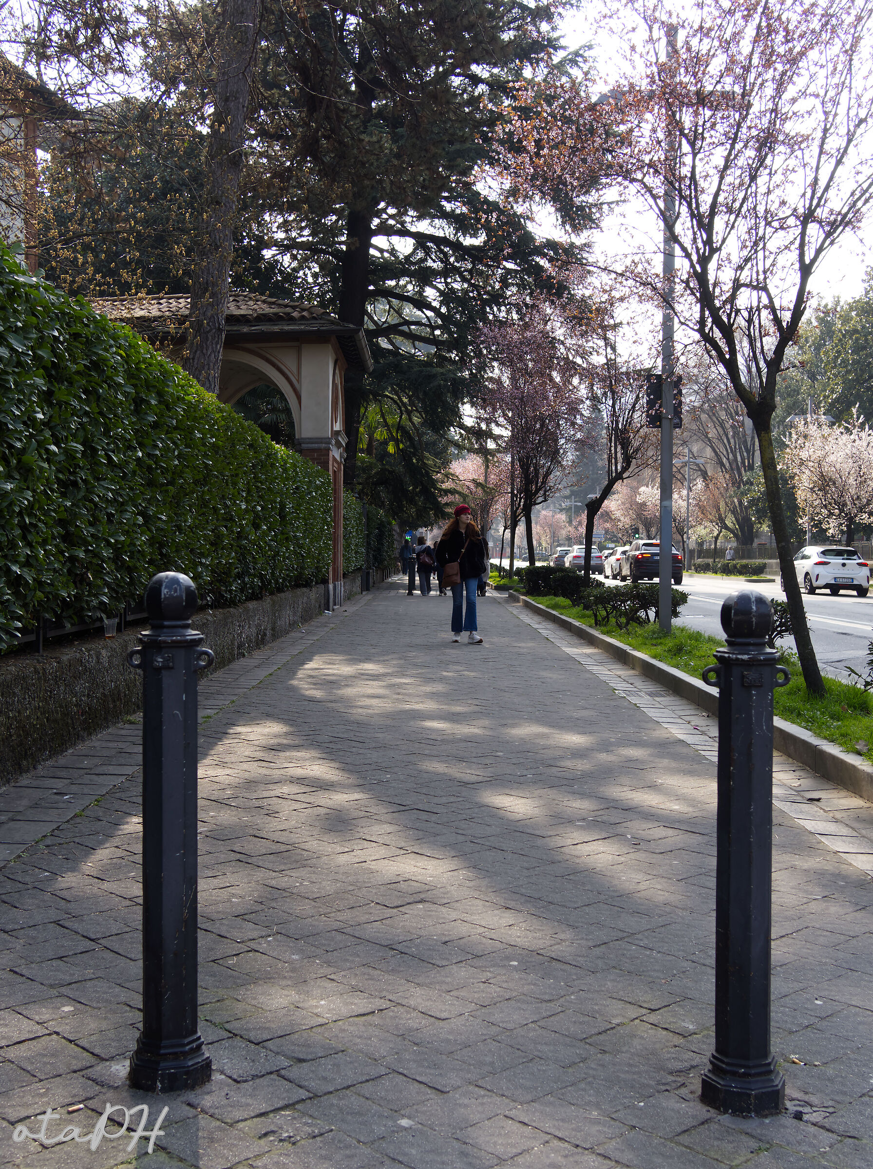 Viale Varese