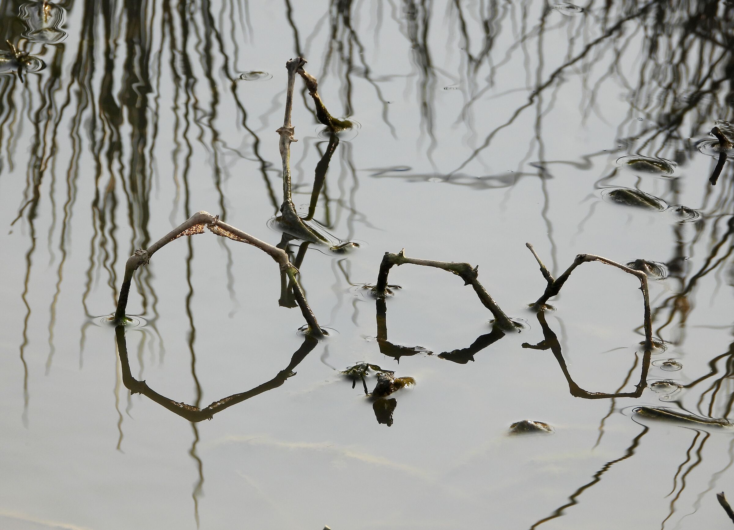 Untitled Photo