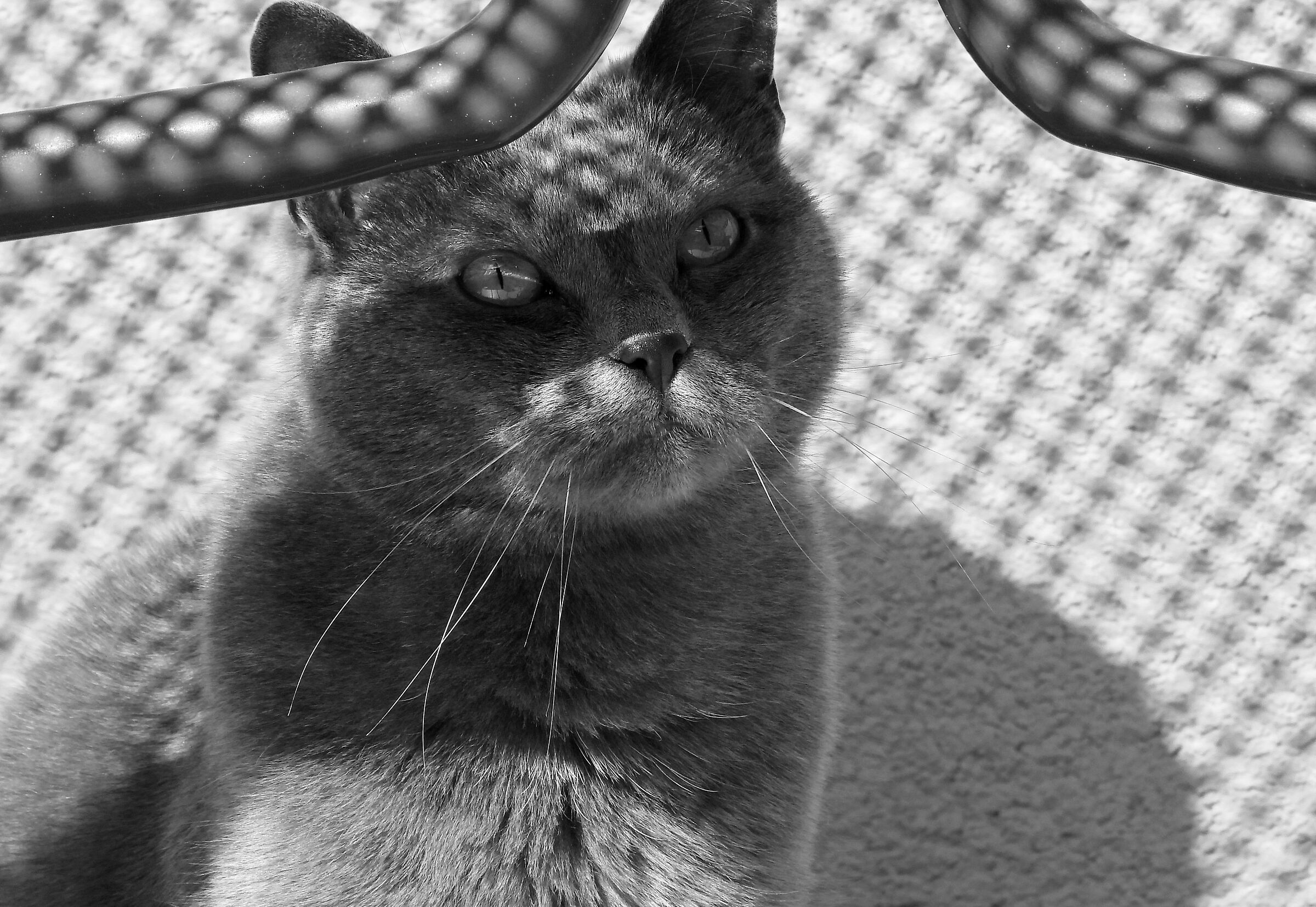 Arthur
