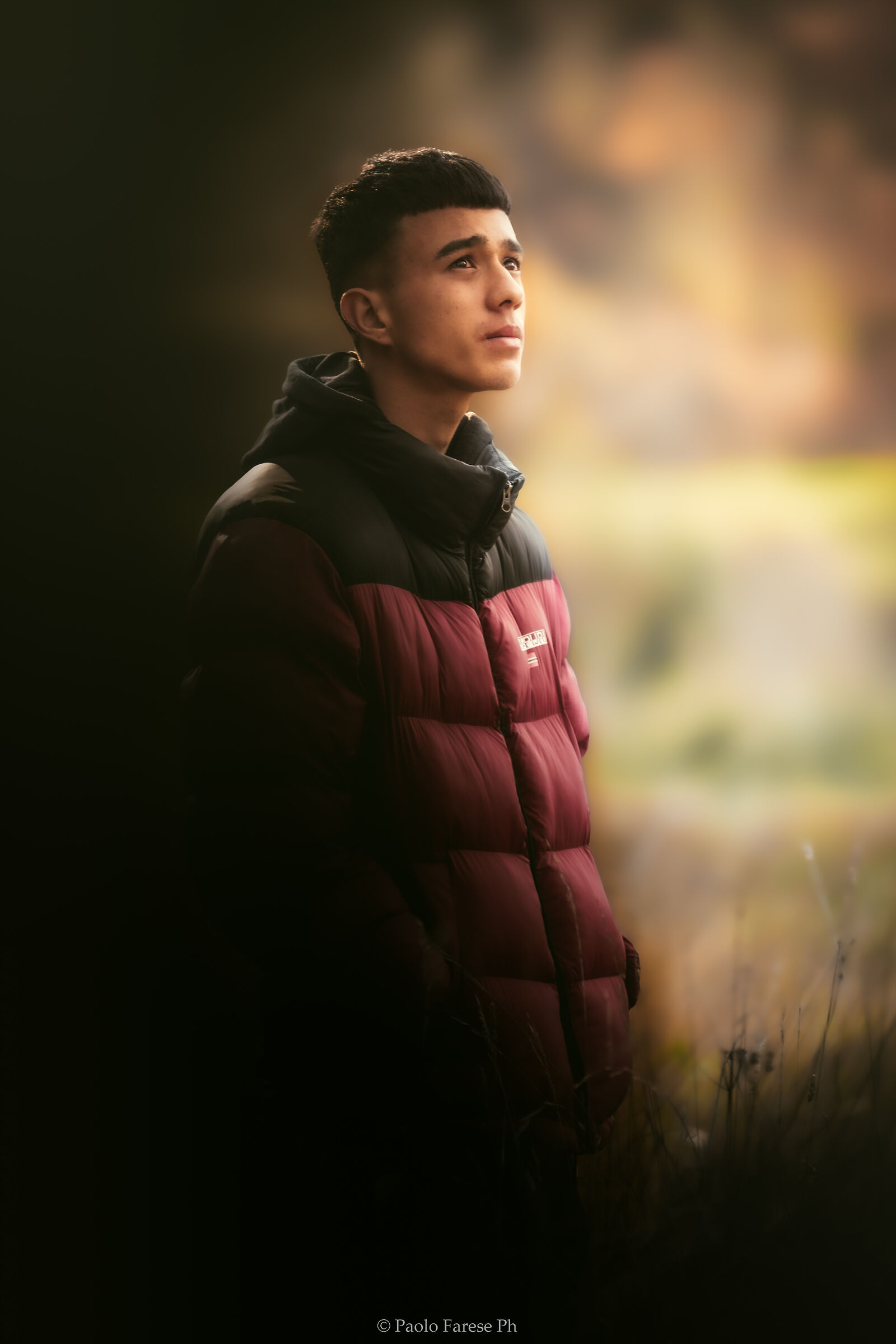 Thoughts at Twilight