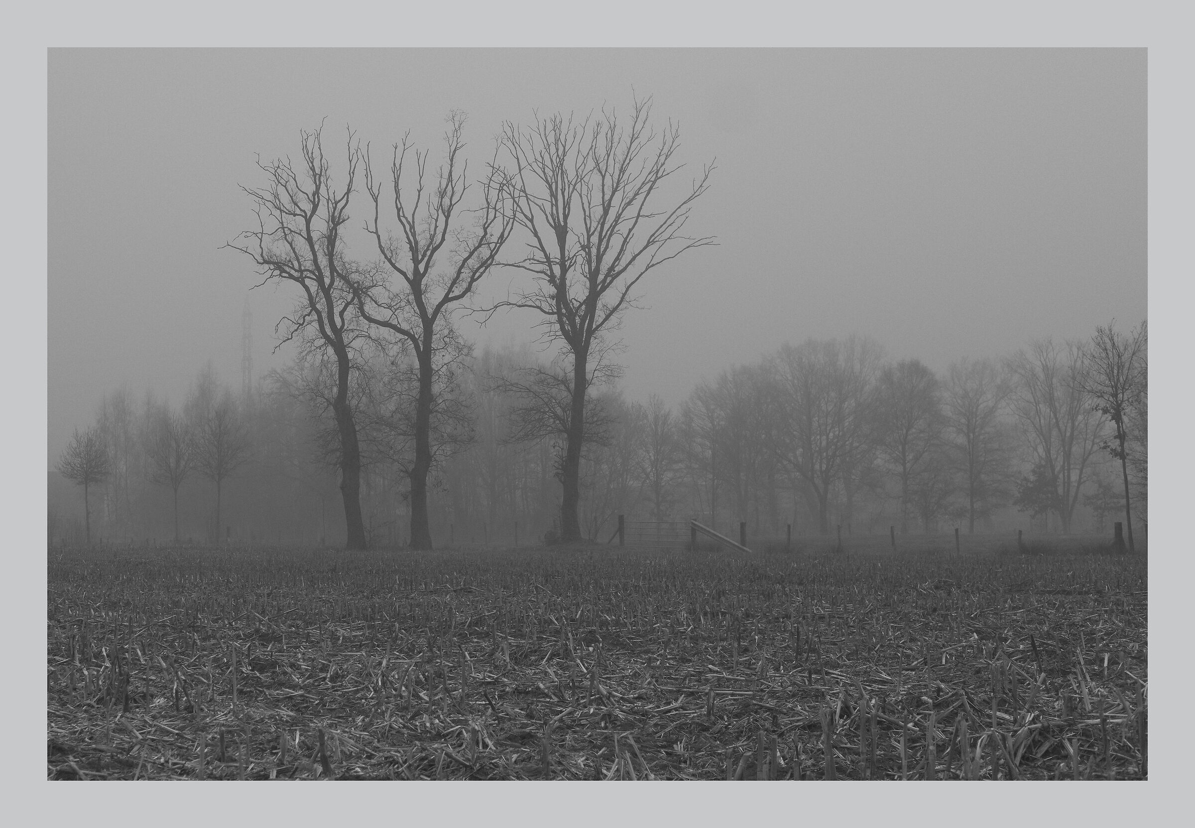 Le tre streghe