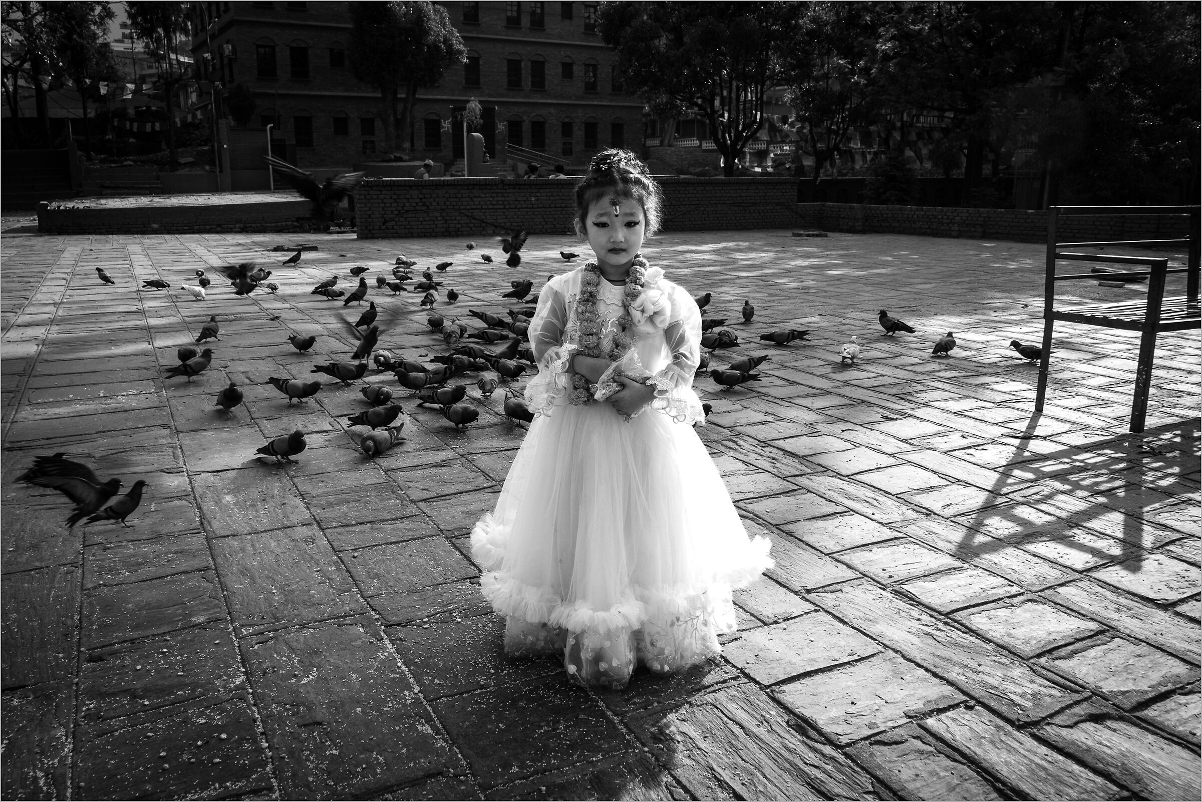 La principessa delle colombe