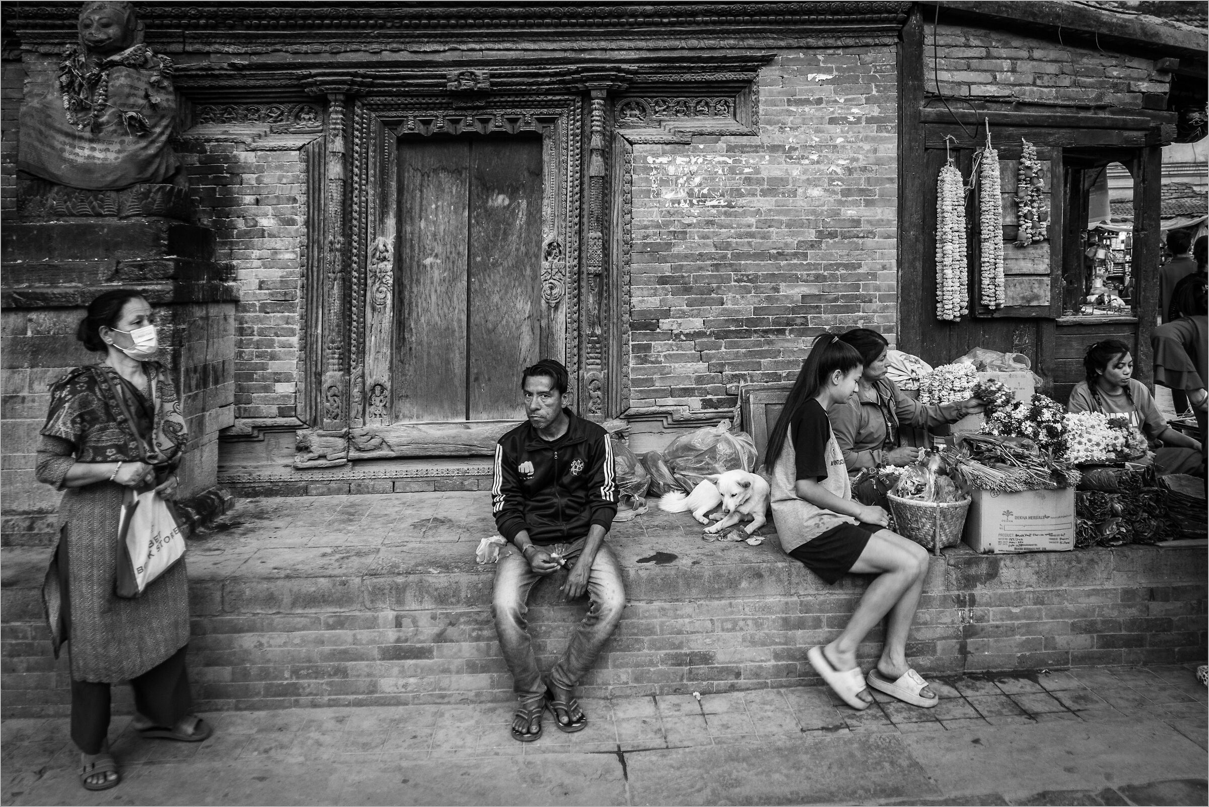 Malcelata diffidenza