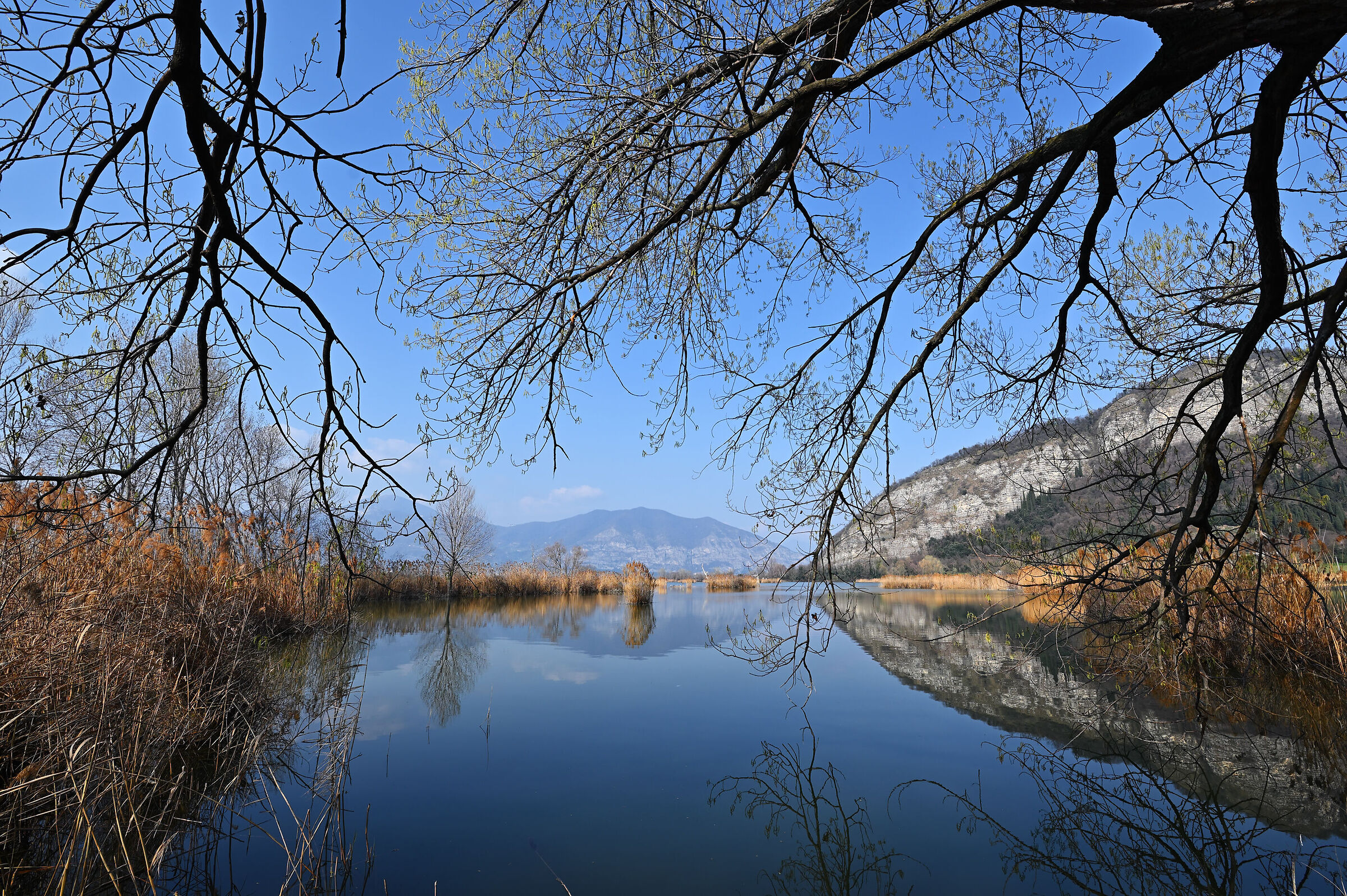 Peat bogs of the Sebino