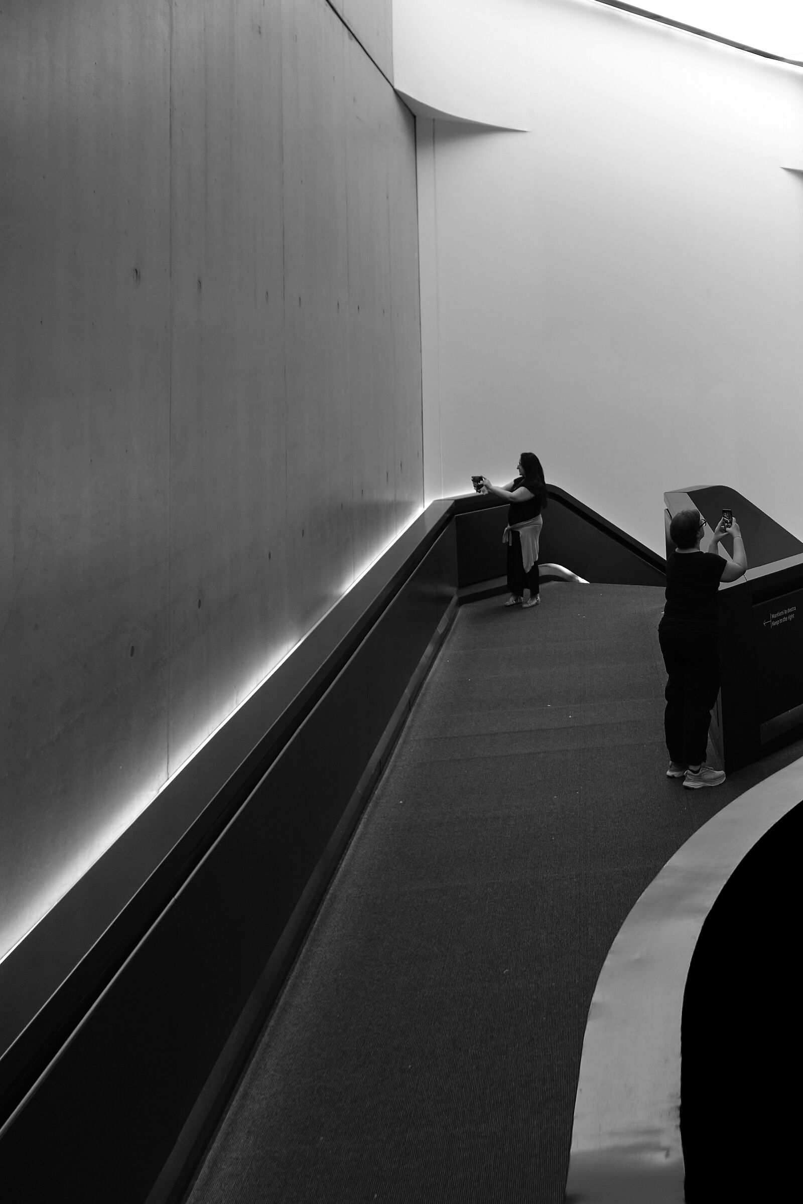 What are we photographing?