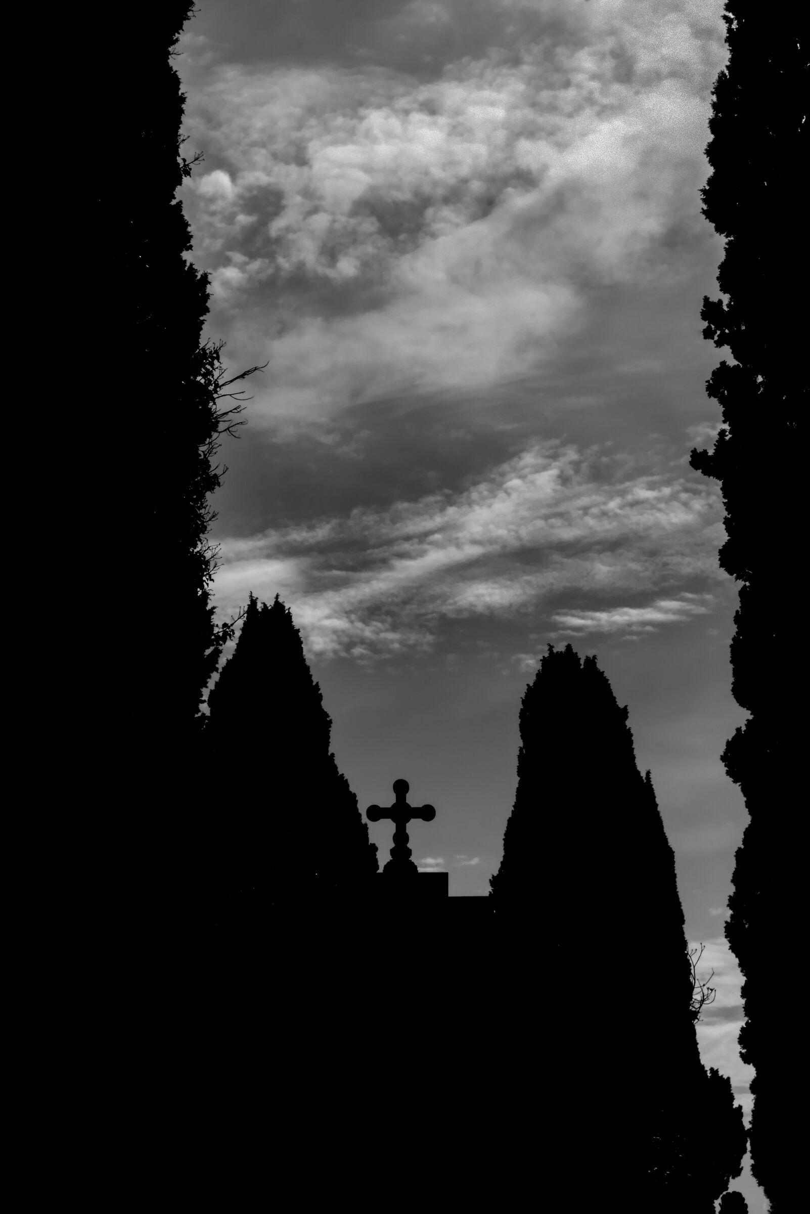 L'alberi pizzuti