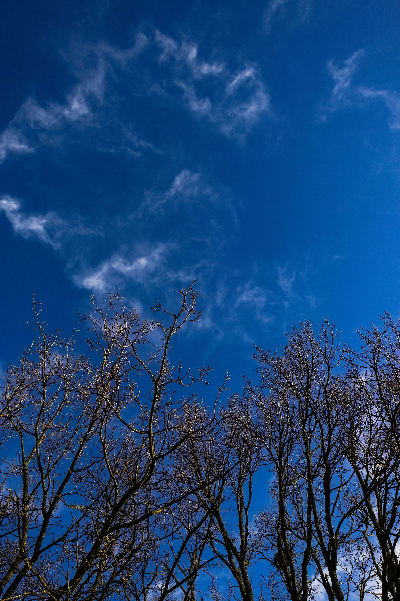 Morning 1