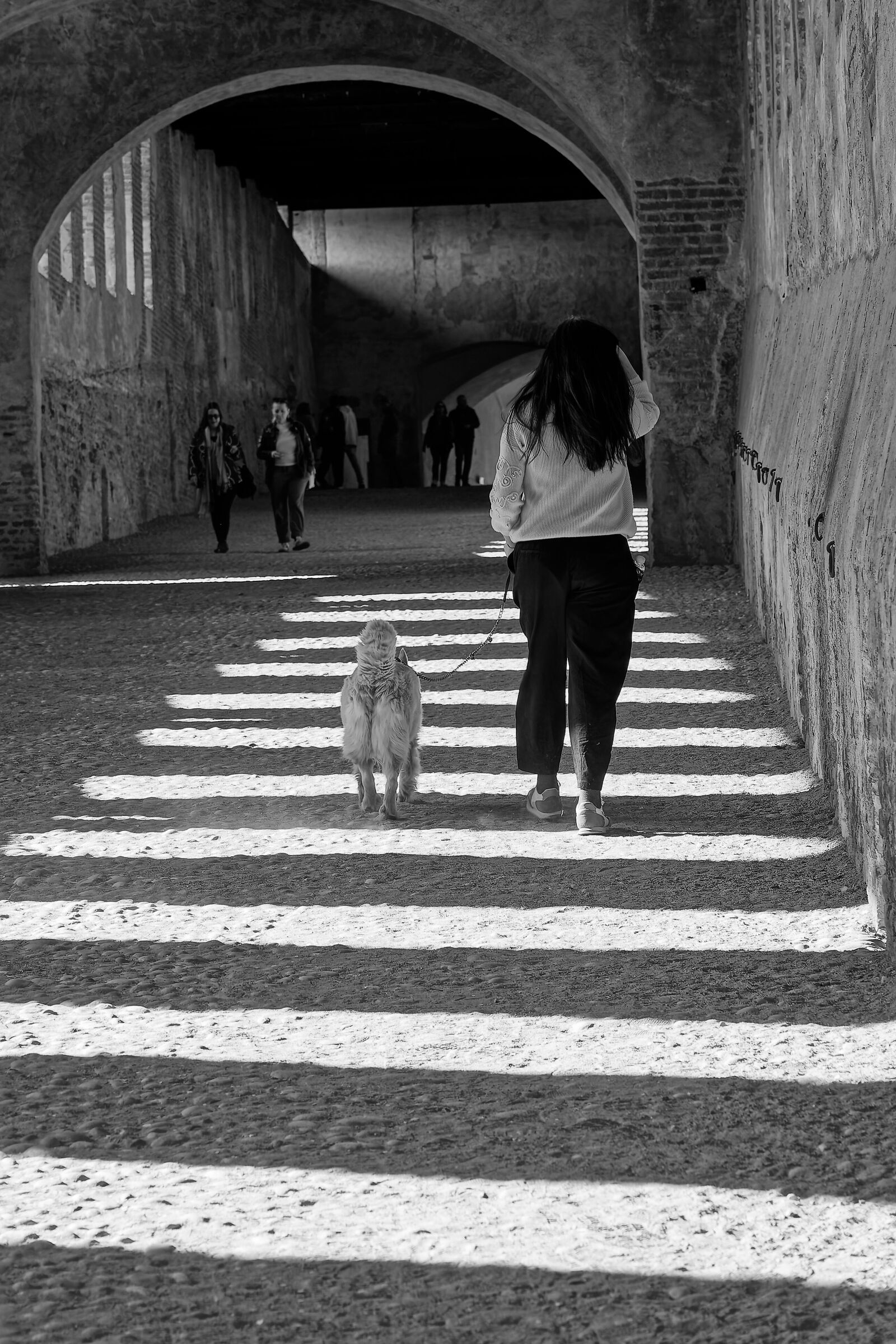 Attraversa sulle strisce