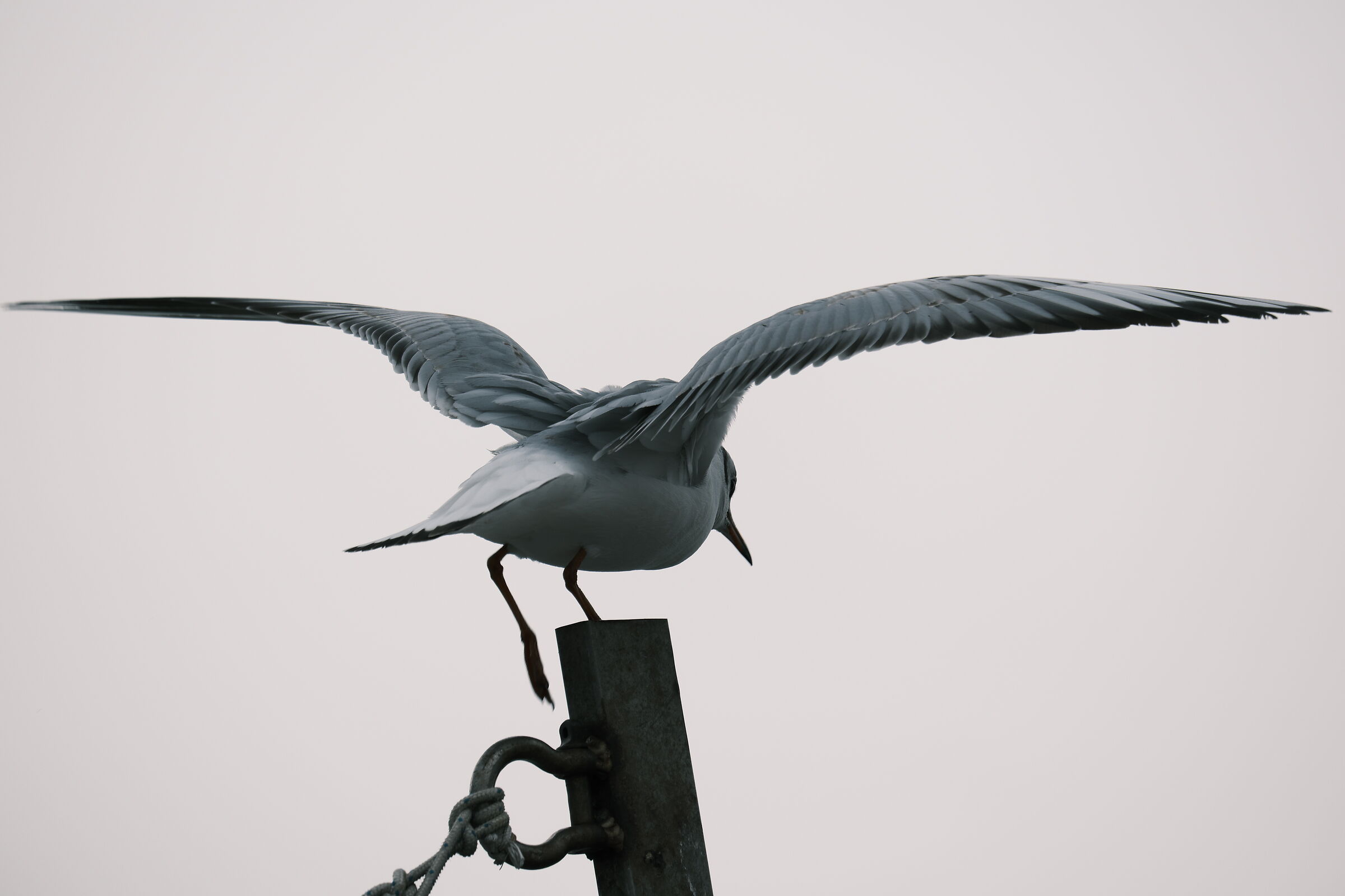 Permission to take off is requested...