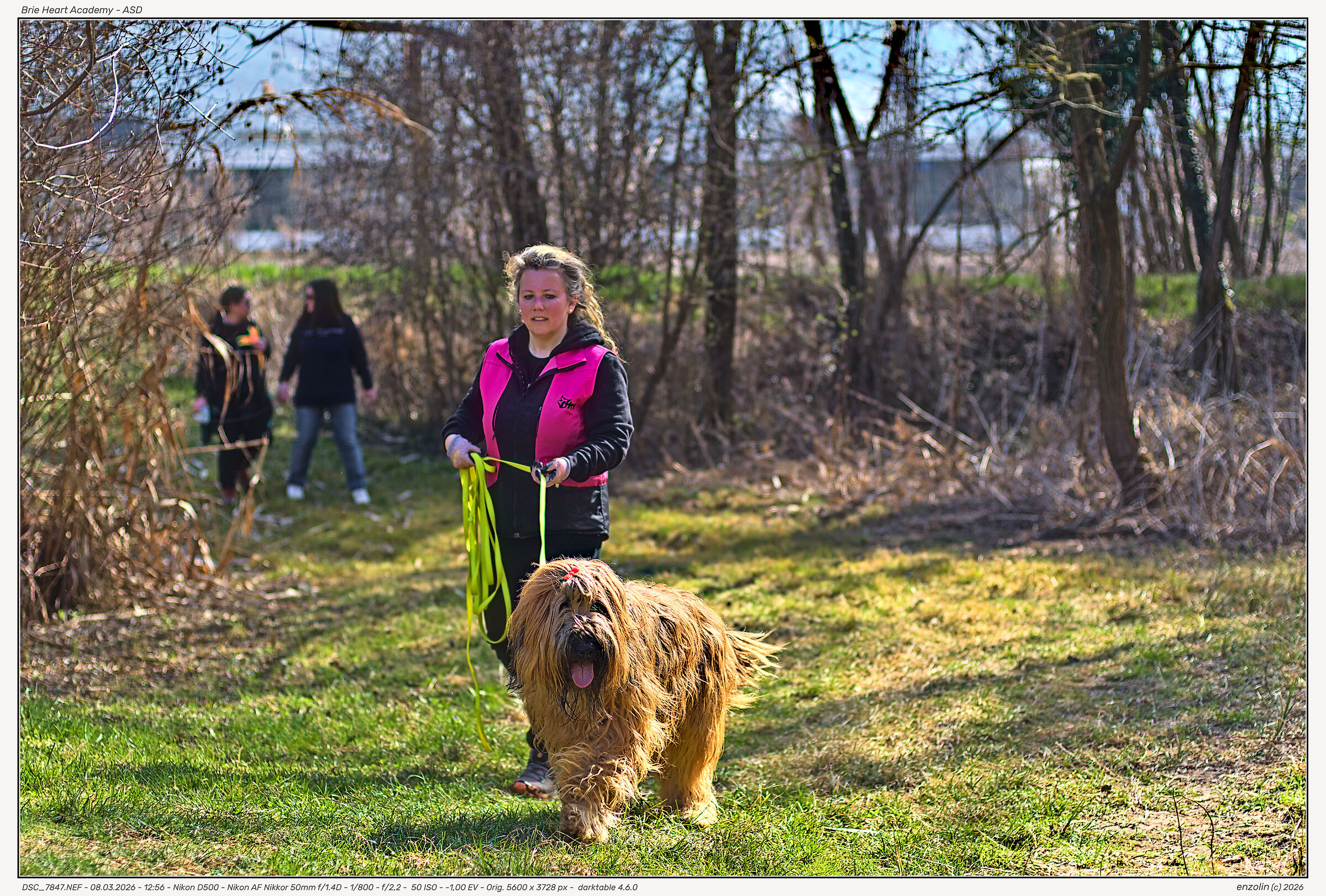 Brie Heart Academy Molecular Dogs - ASD
