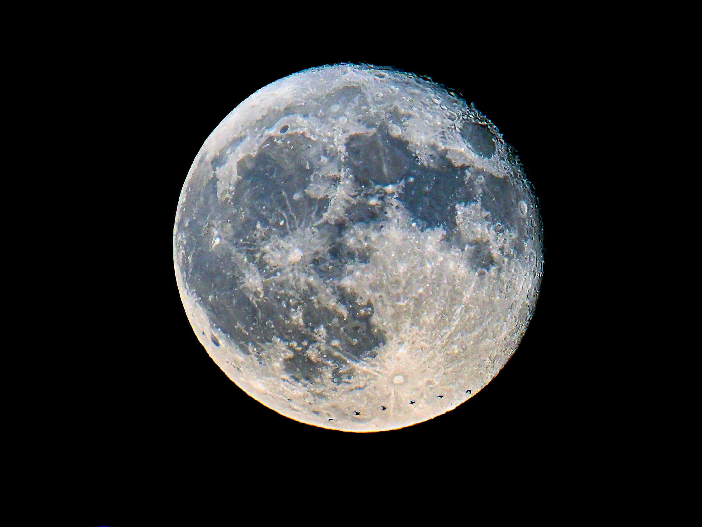 Luna blu con un passaggio di volatili notturni