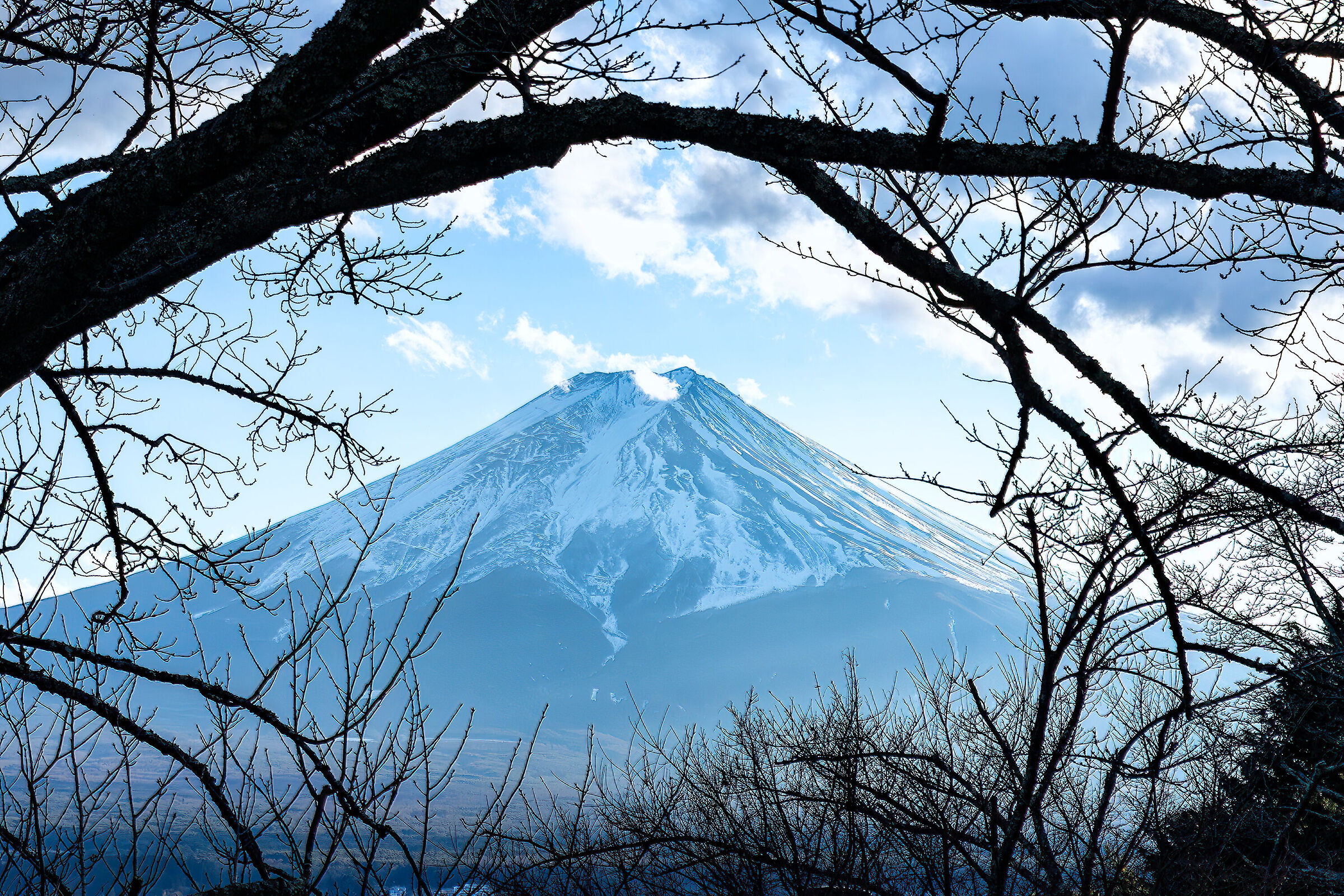 Mount Fuji