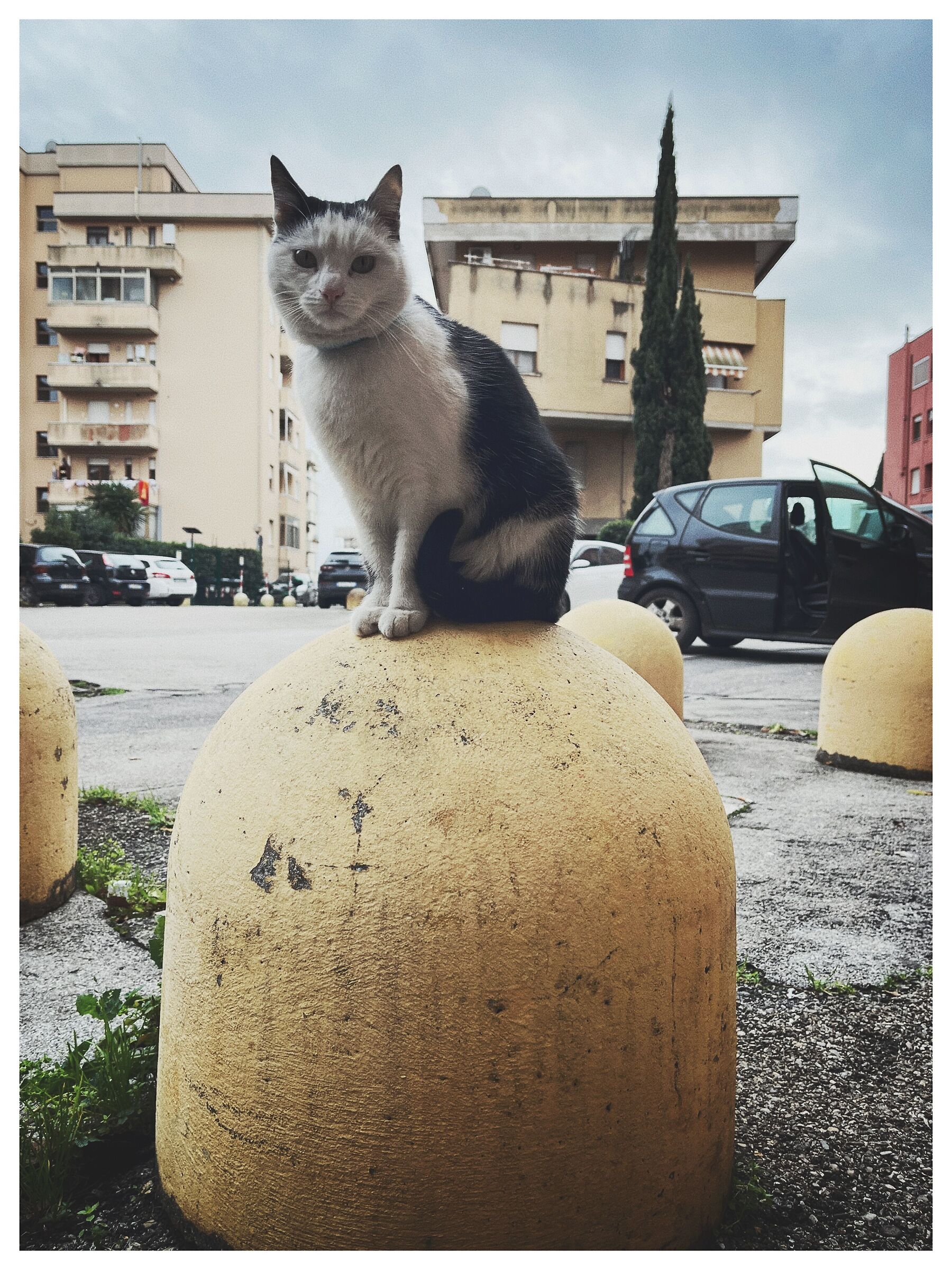 Senza Titolo