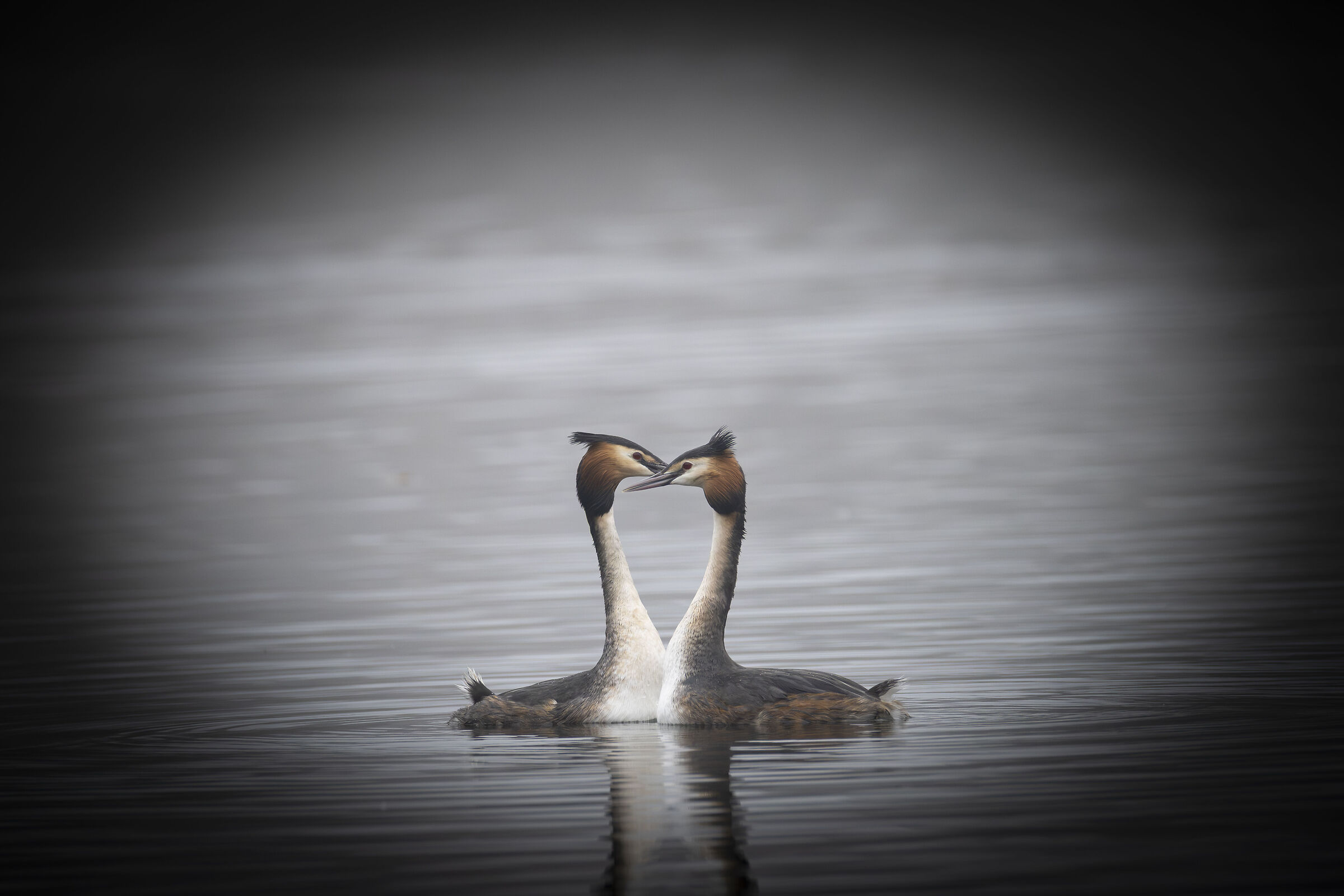 Love Is...