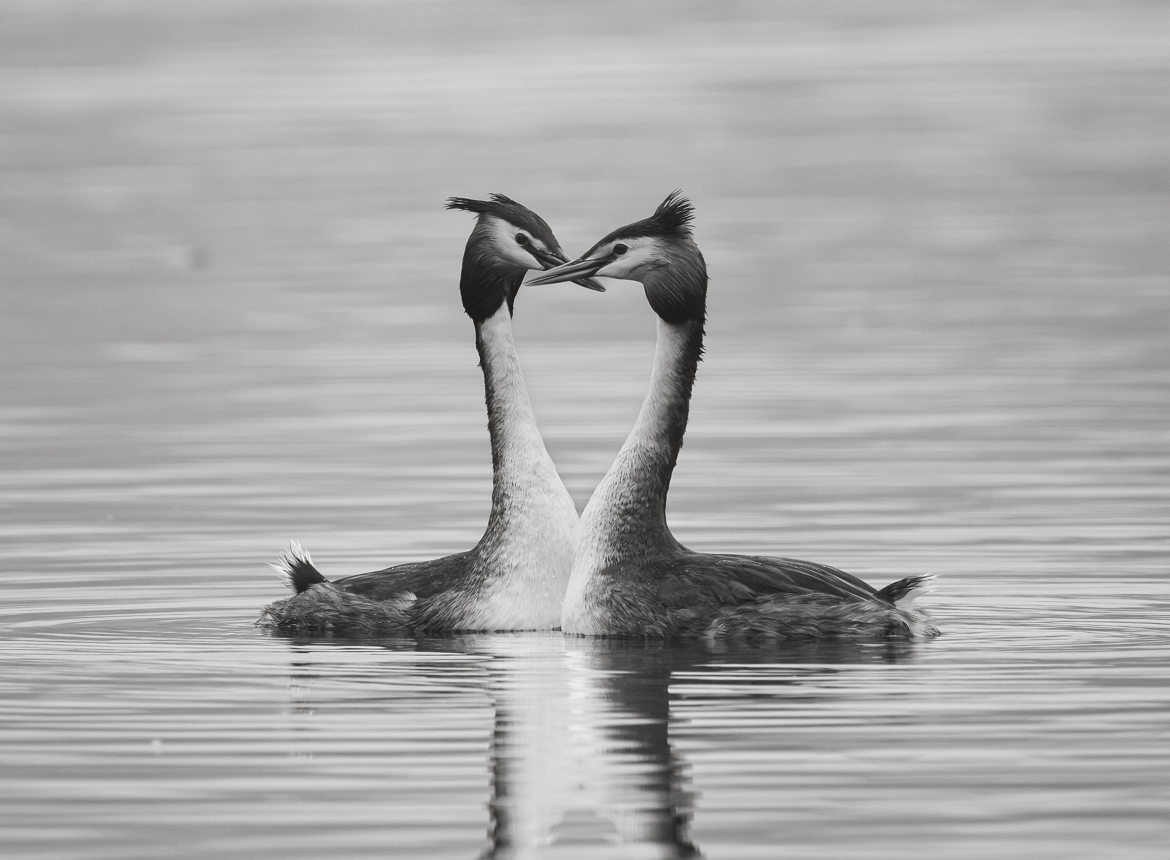 L'Amore è...
