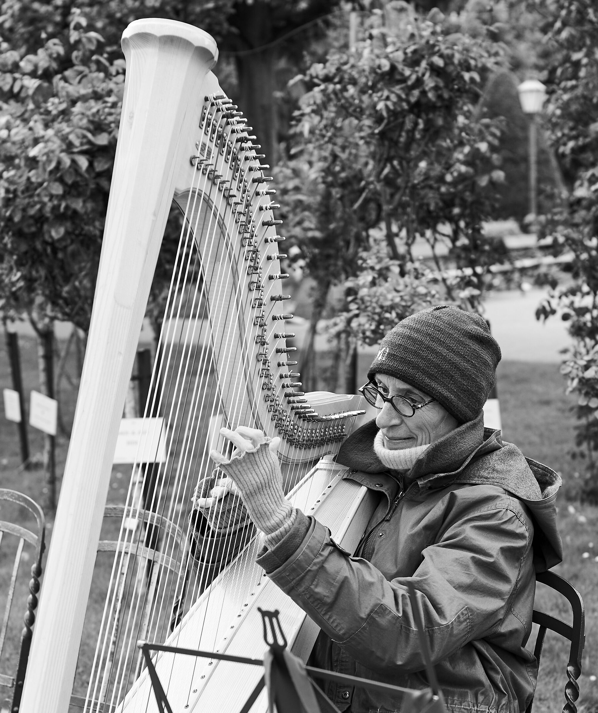 Note musicali al Volksgarten