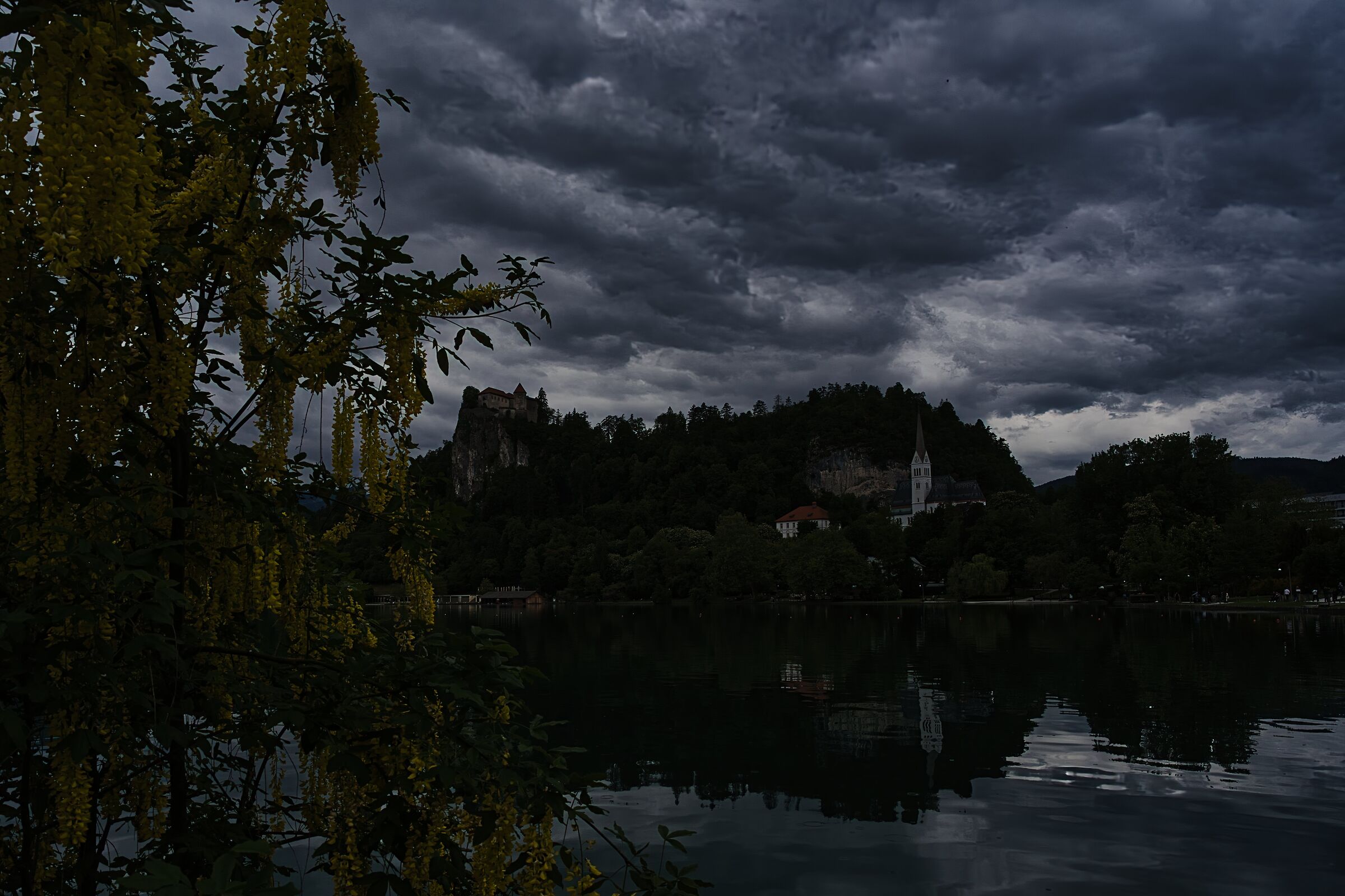 Bled at night...