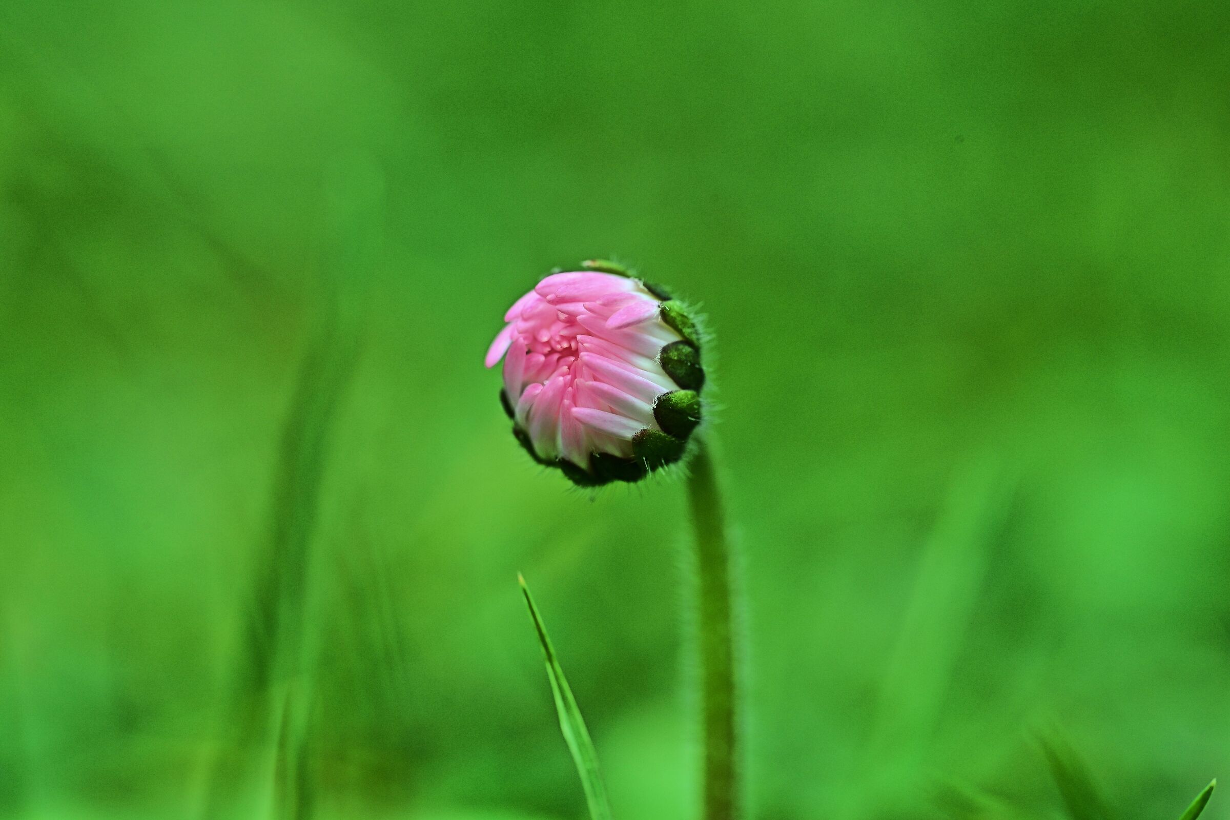Untitled Photo