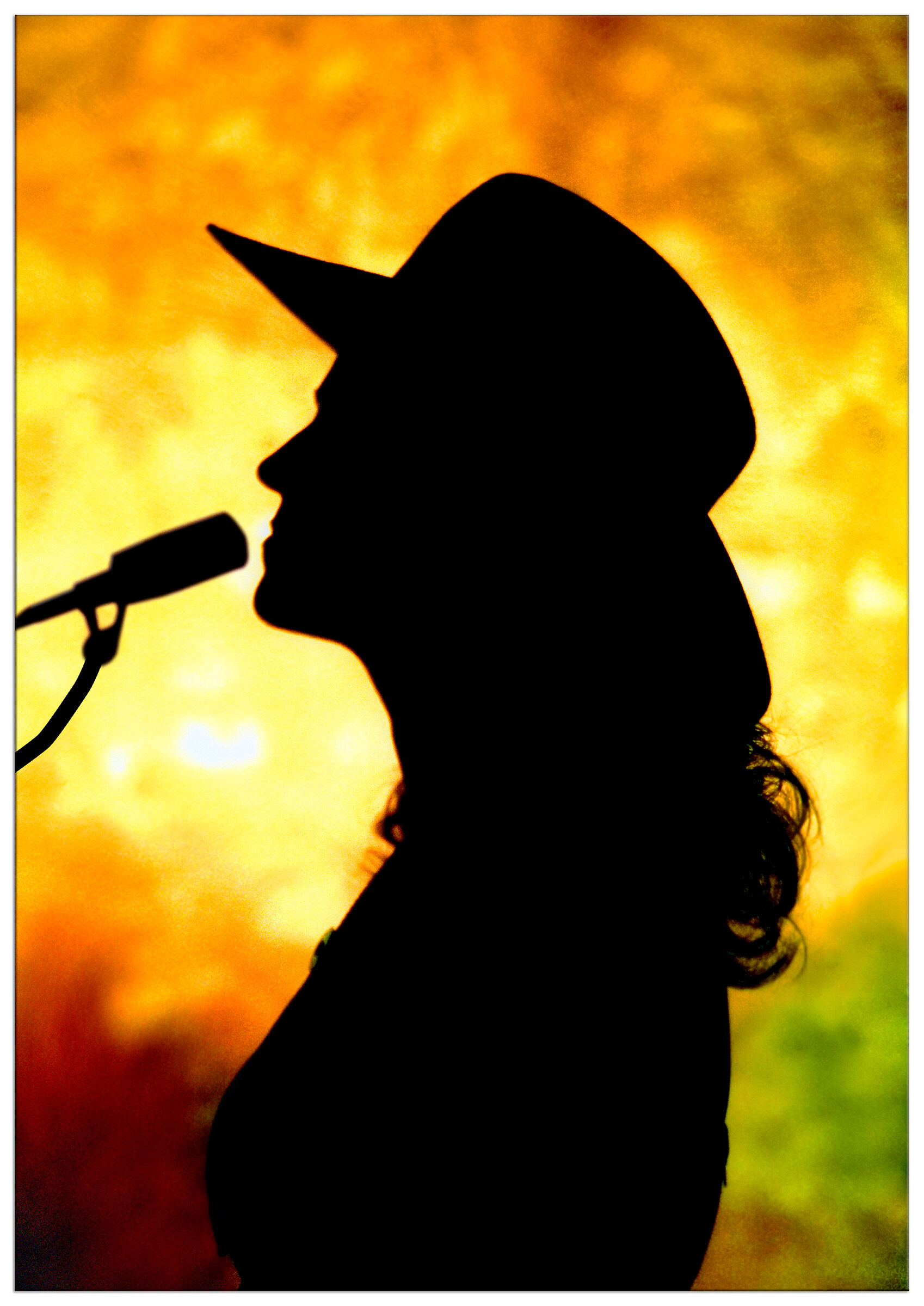 Silhouette cantante