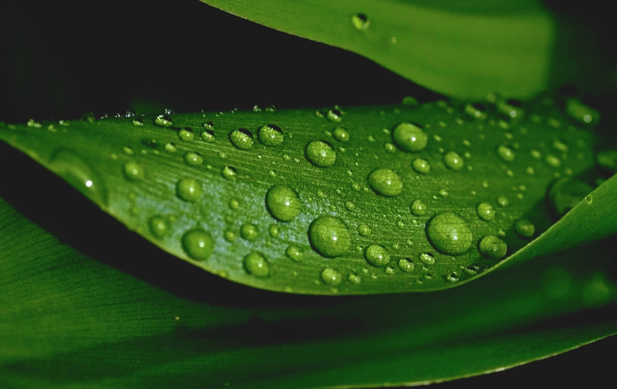 Gocce d'acqua