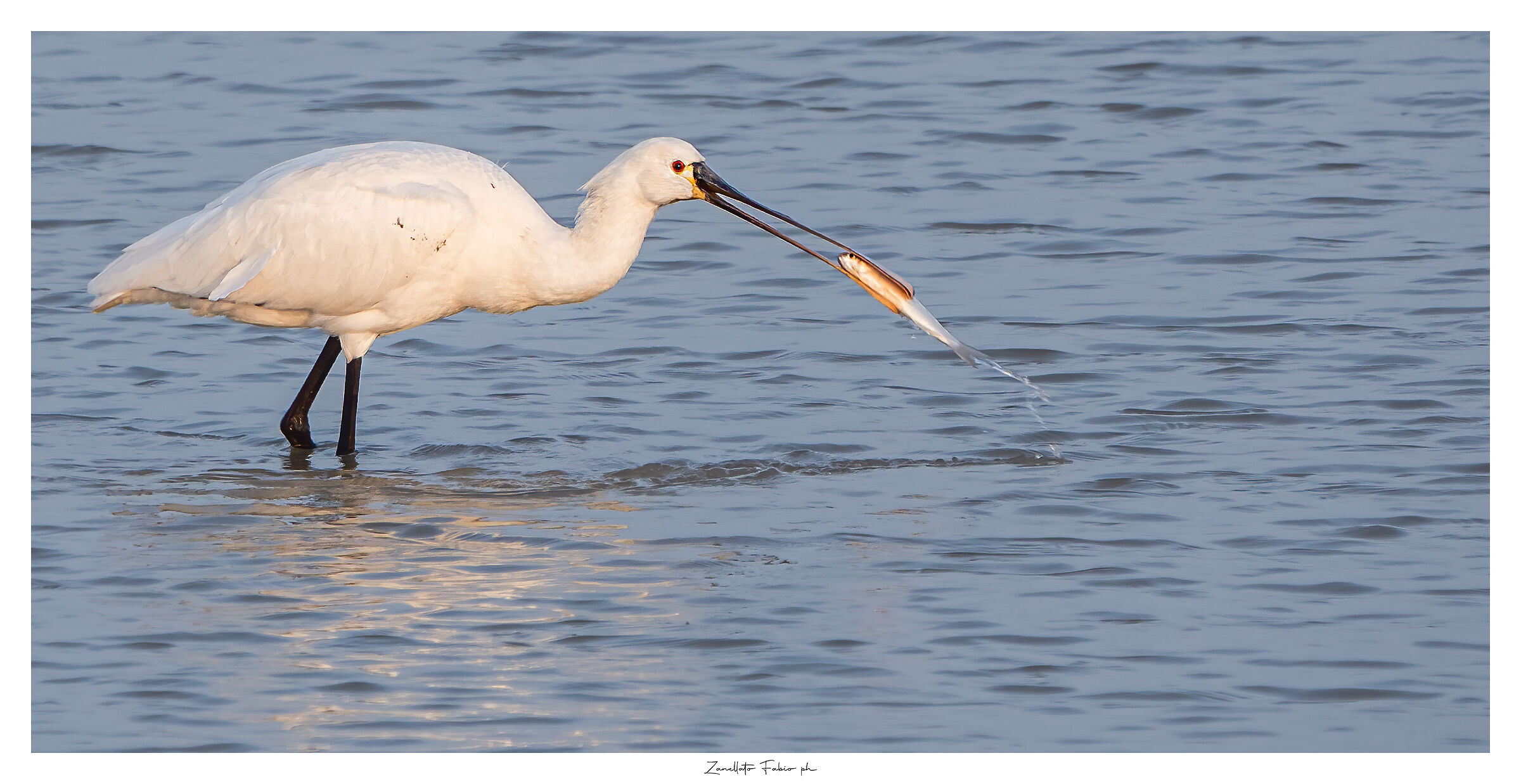 Spatula with breakfast