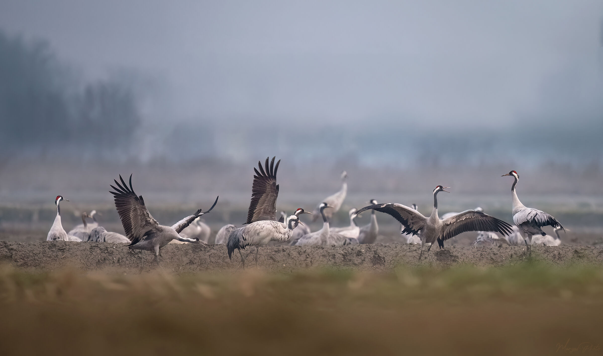 Disagreements on the return flight