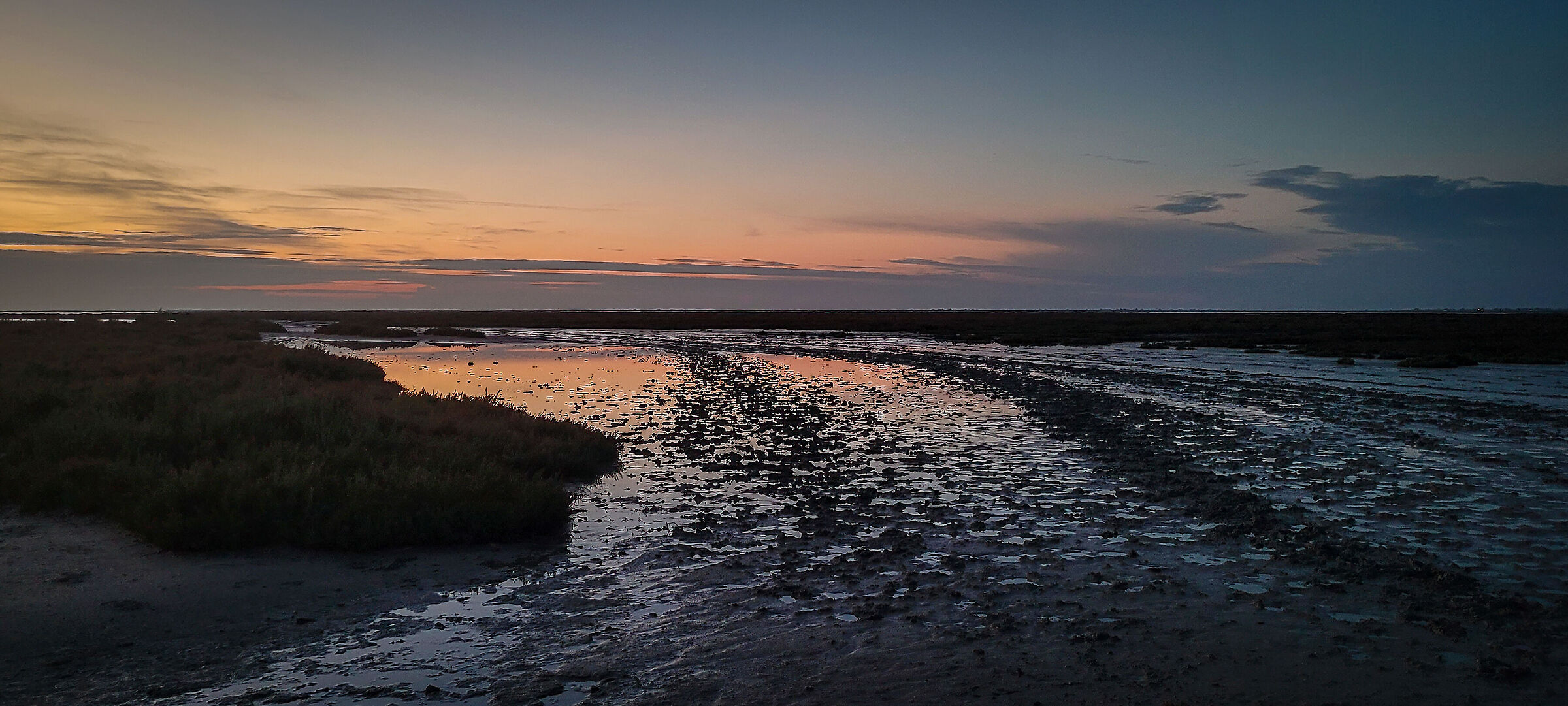 Sunrise in the Rhône Delta