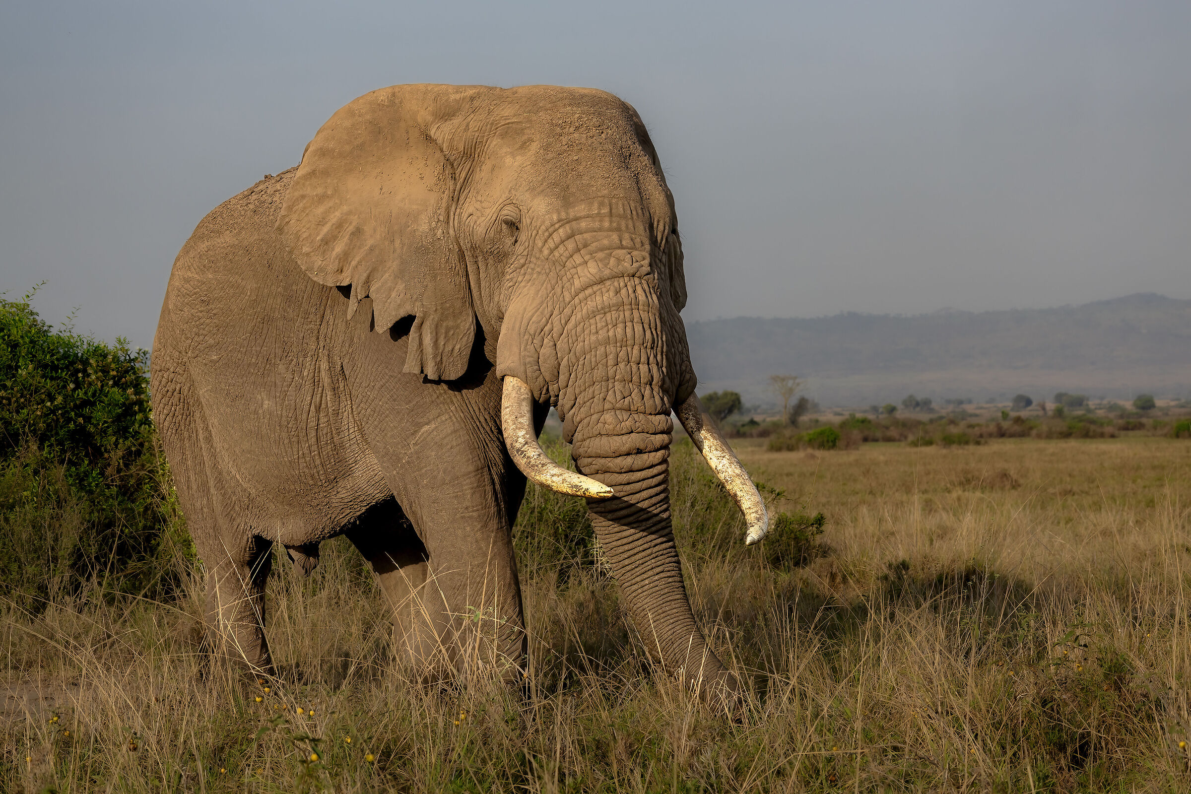 I've got the power...