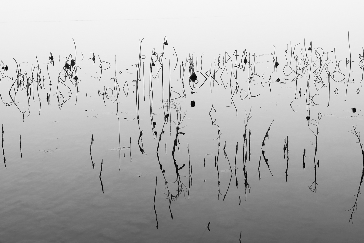 Fog reflections