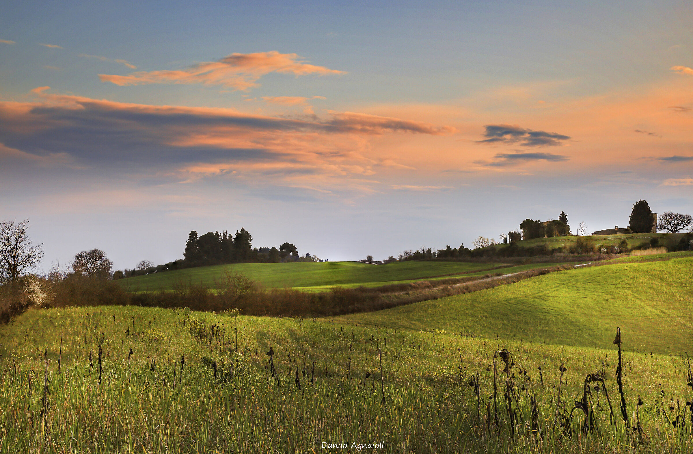 Soft country lines