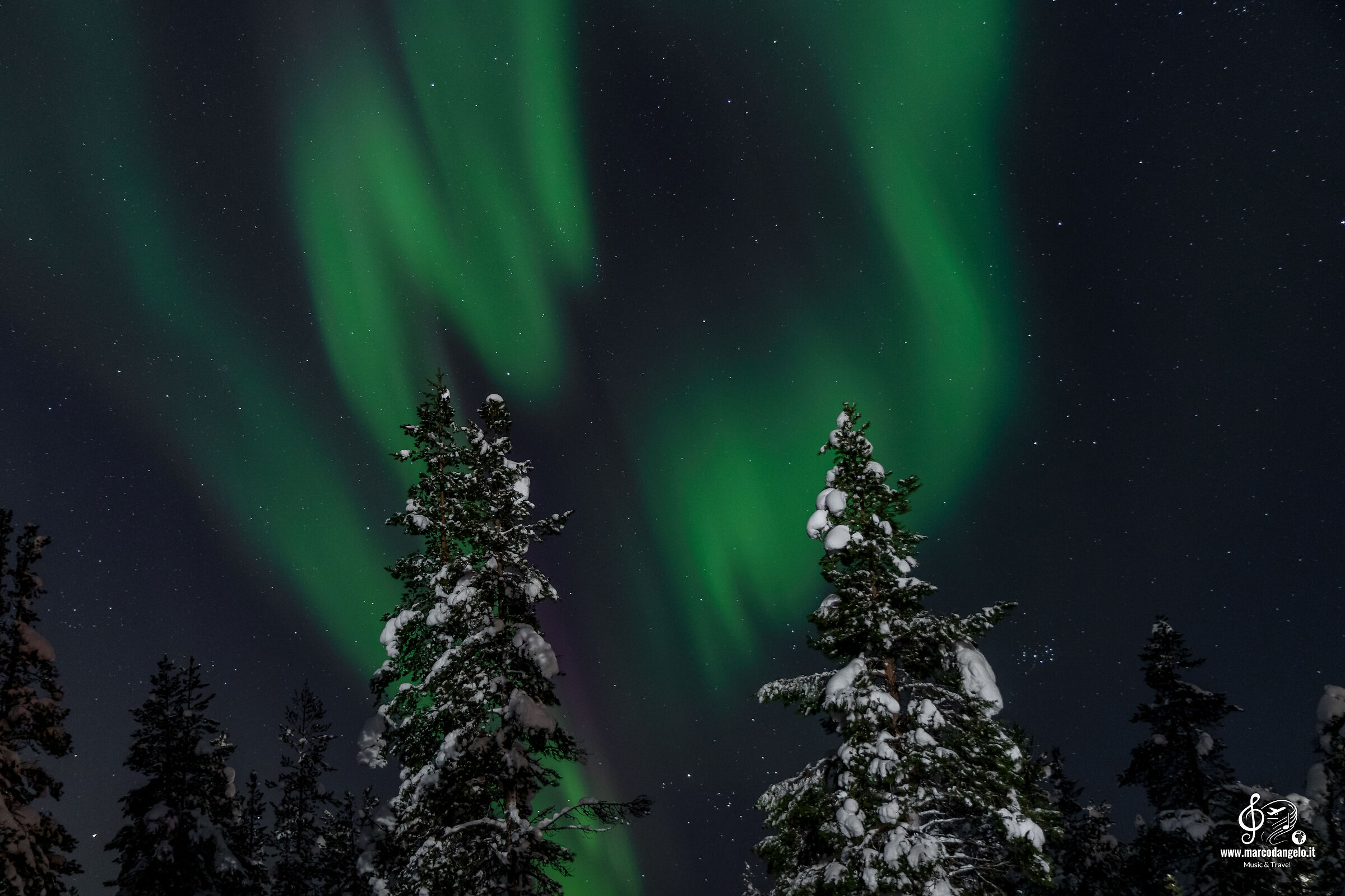 Aurora