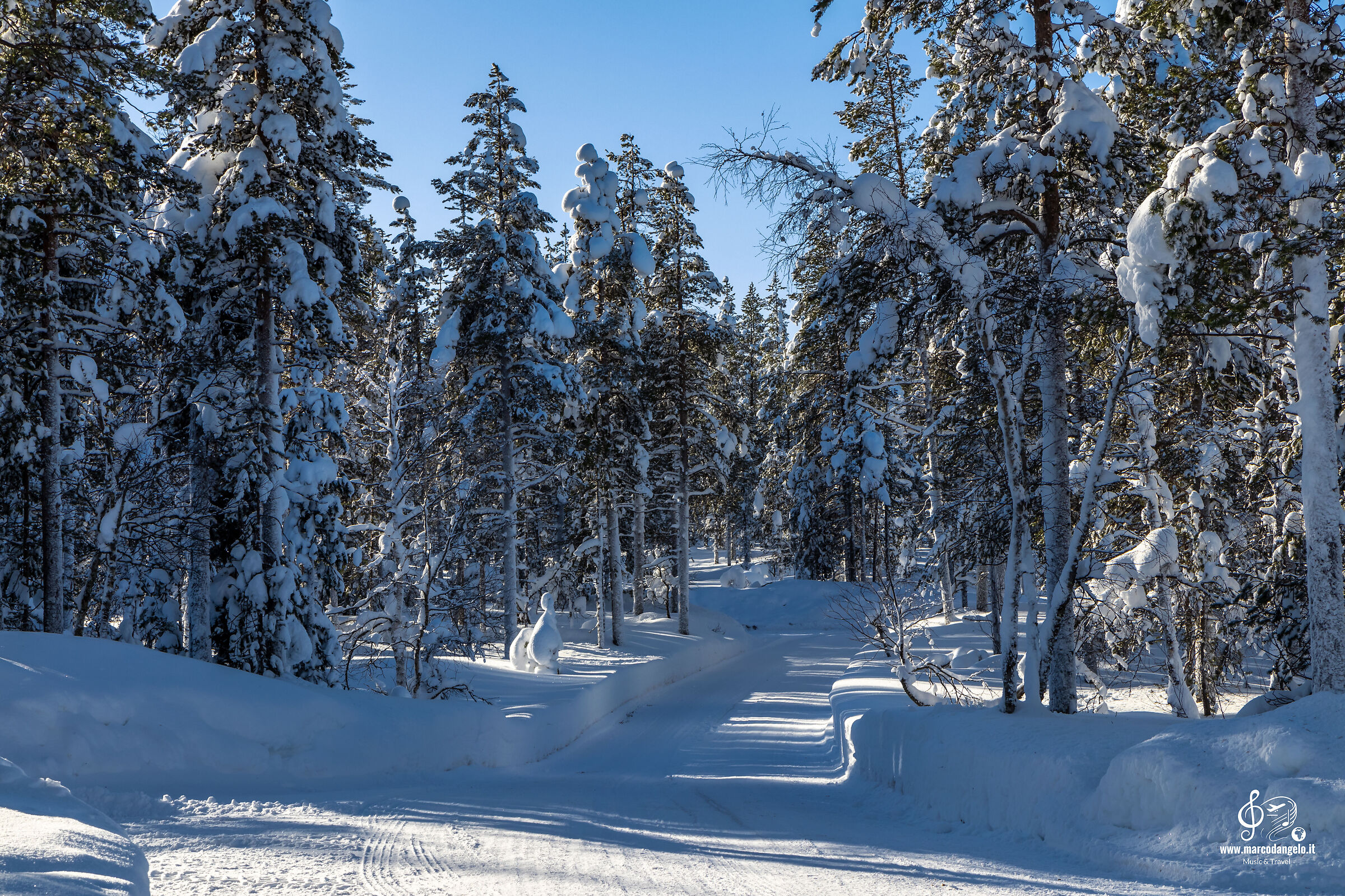 Reindeer farm road