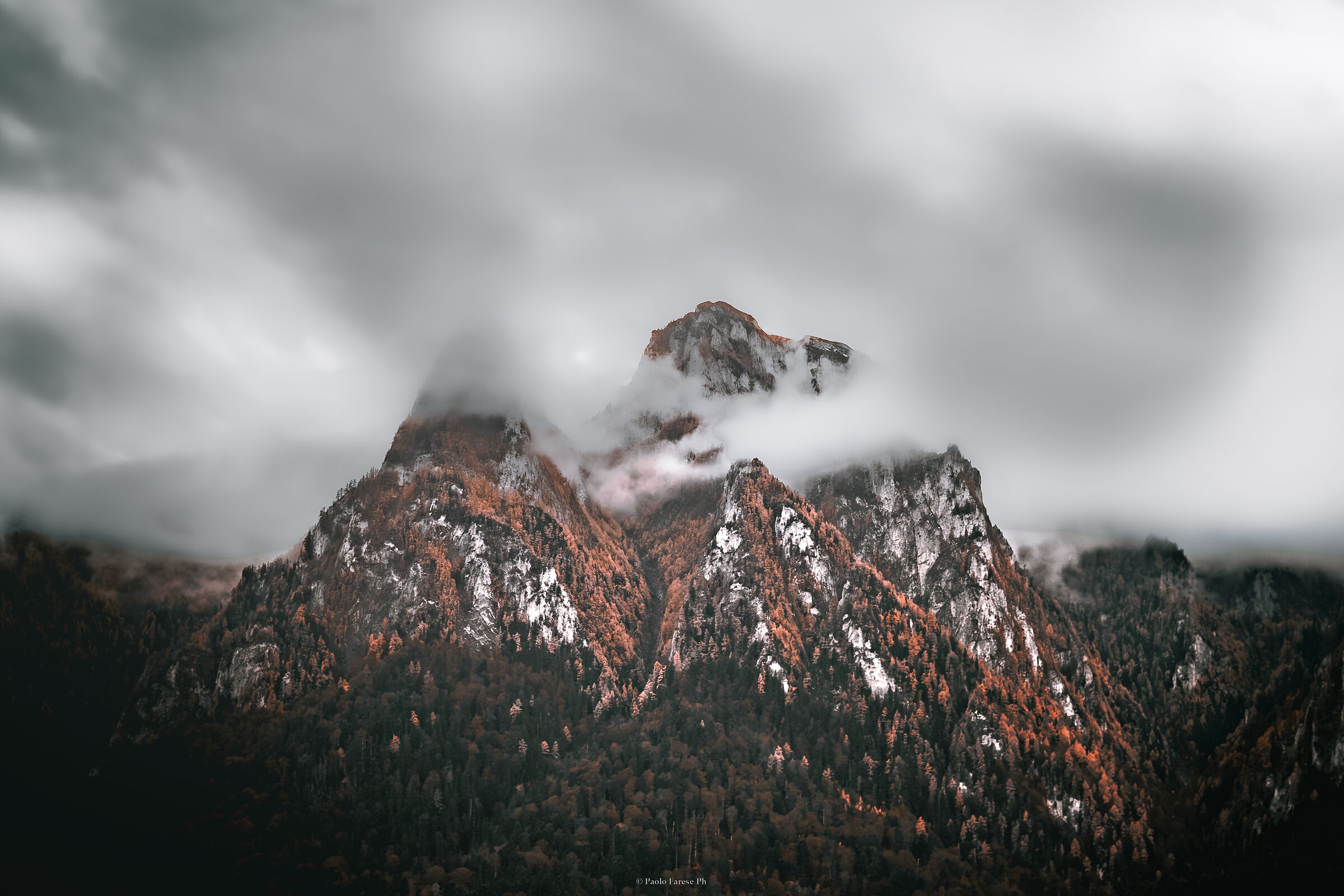 Tra la nebbia