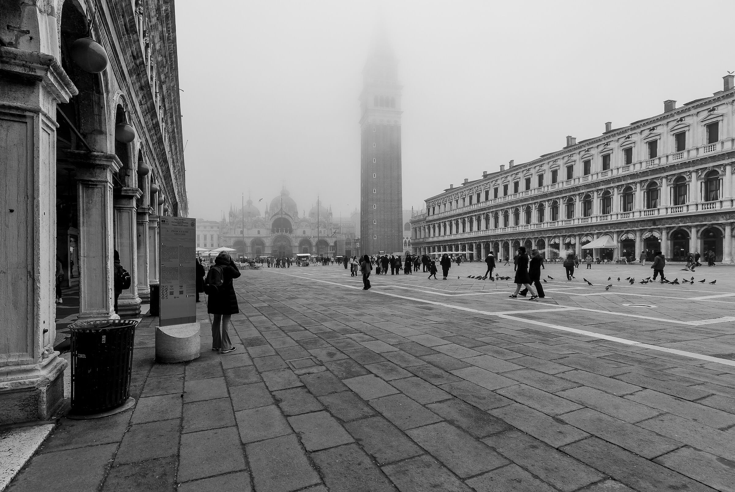 Piazza San Marco Venezia