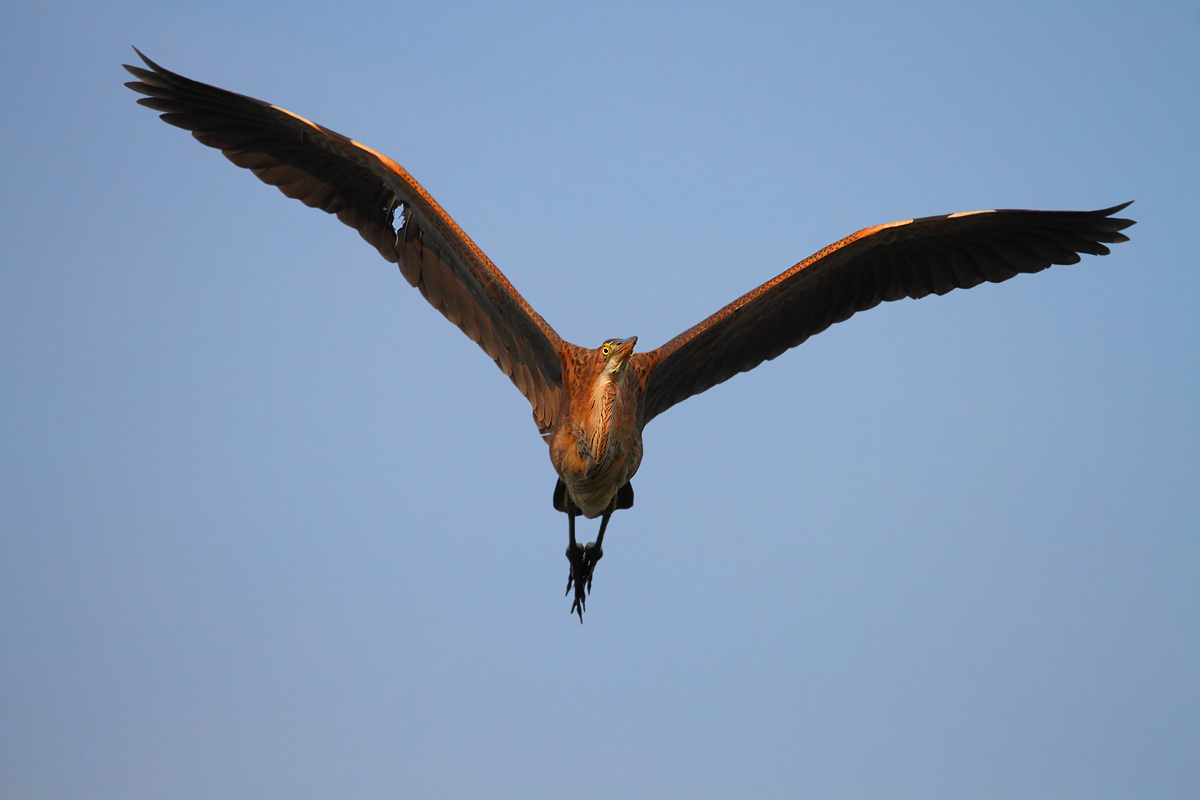 centrato dalla contraerea