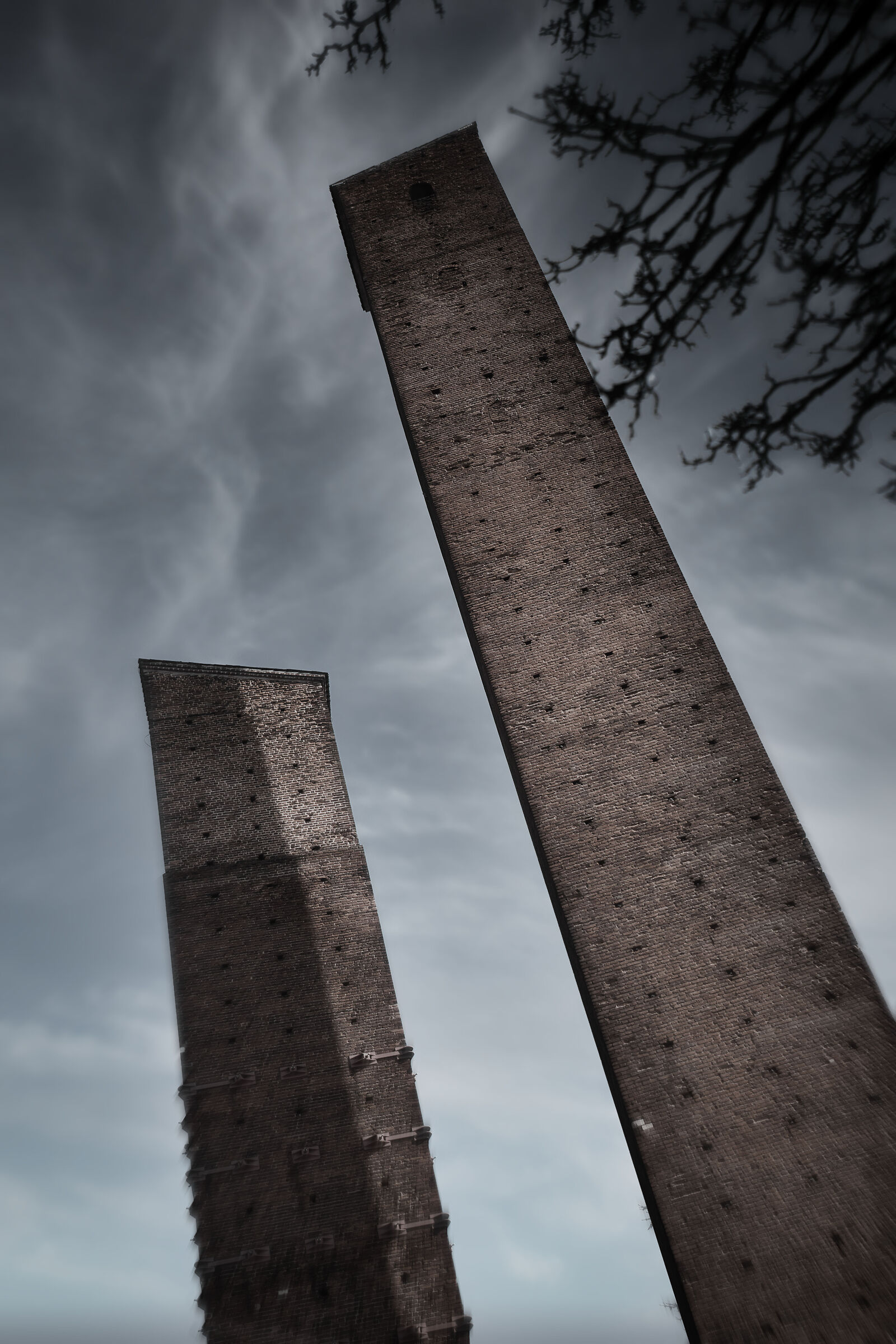 Untitled Photo