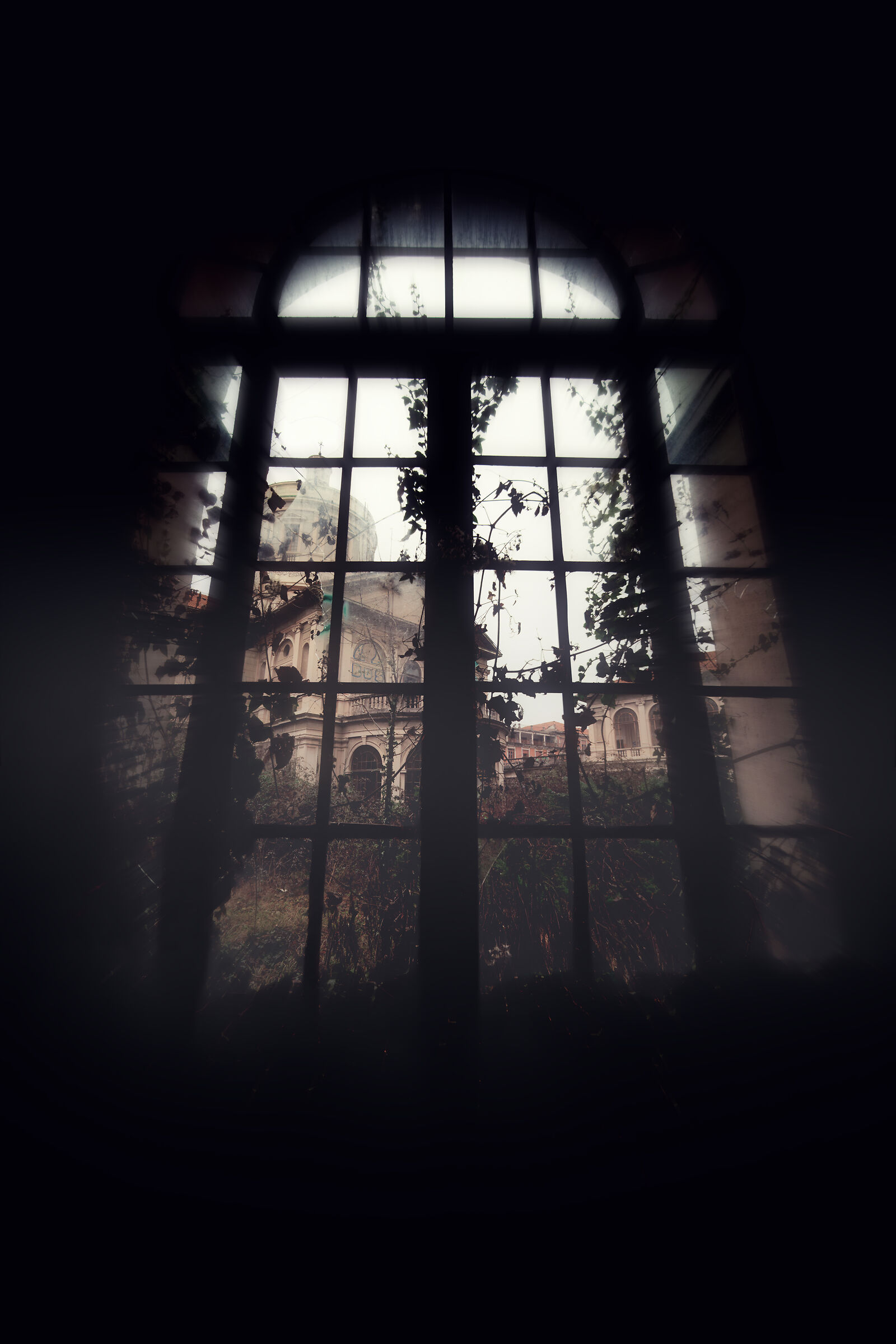 Untitled Photo