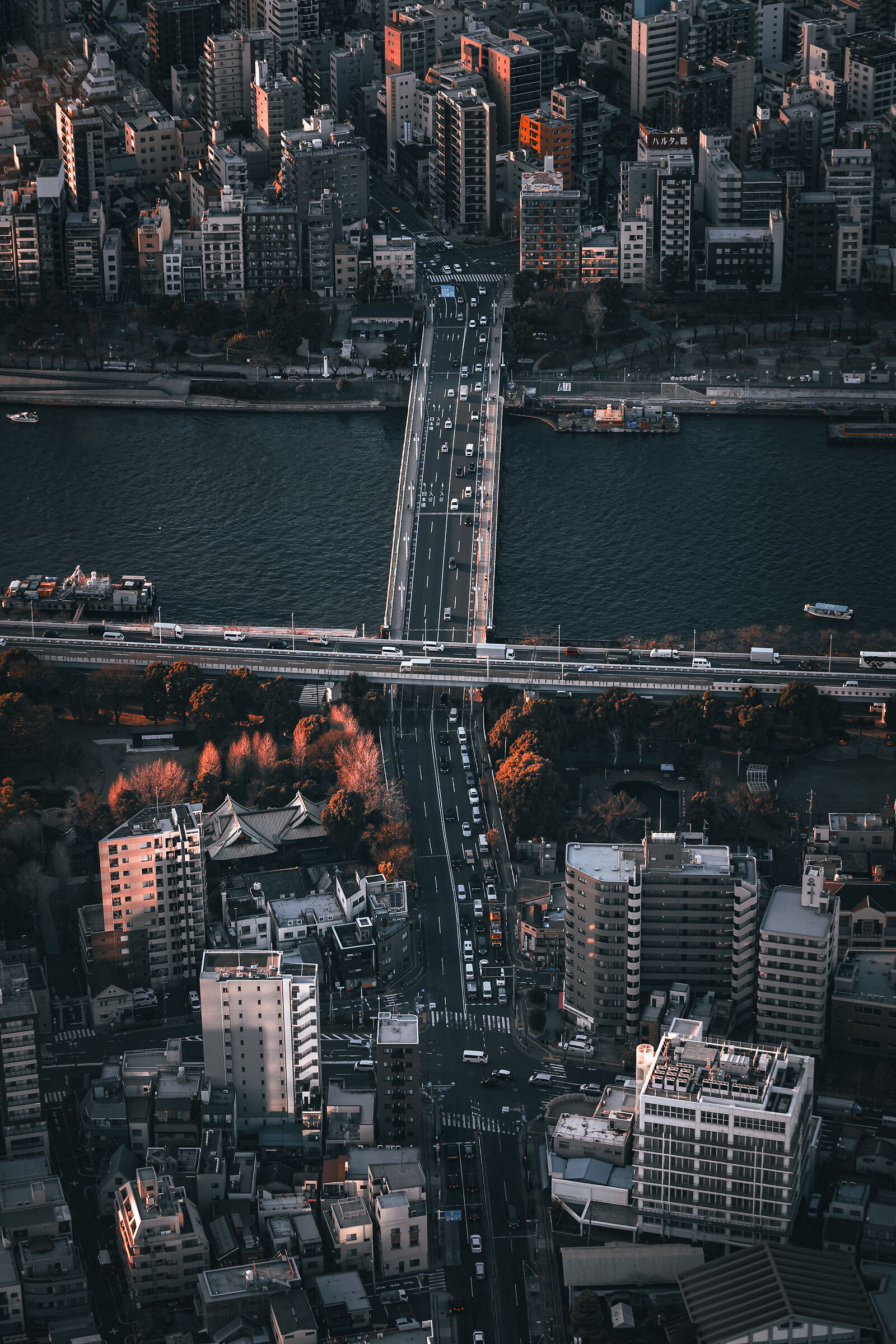 Tokyo #3
