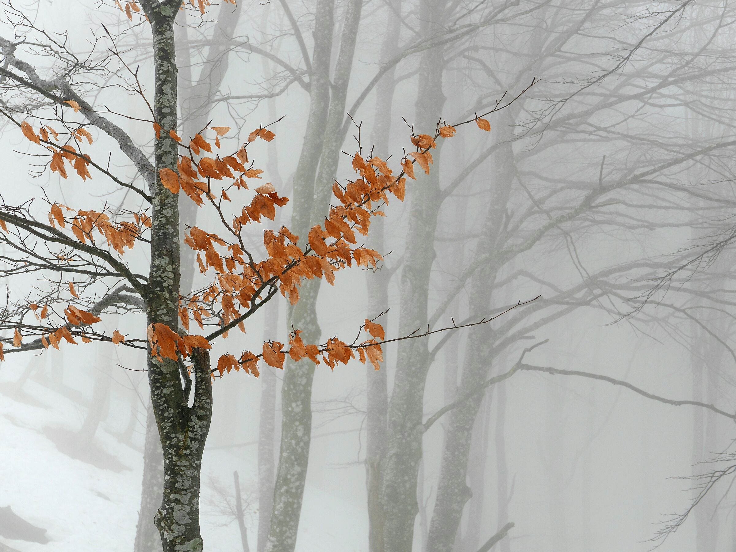 Resisto... nonostante.