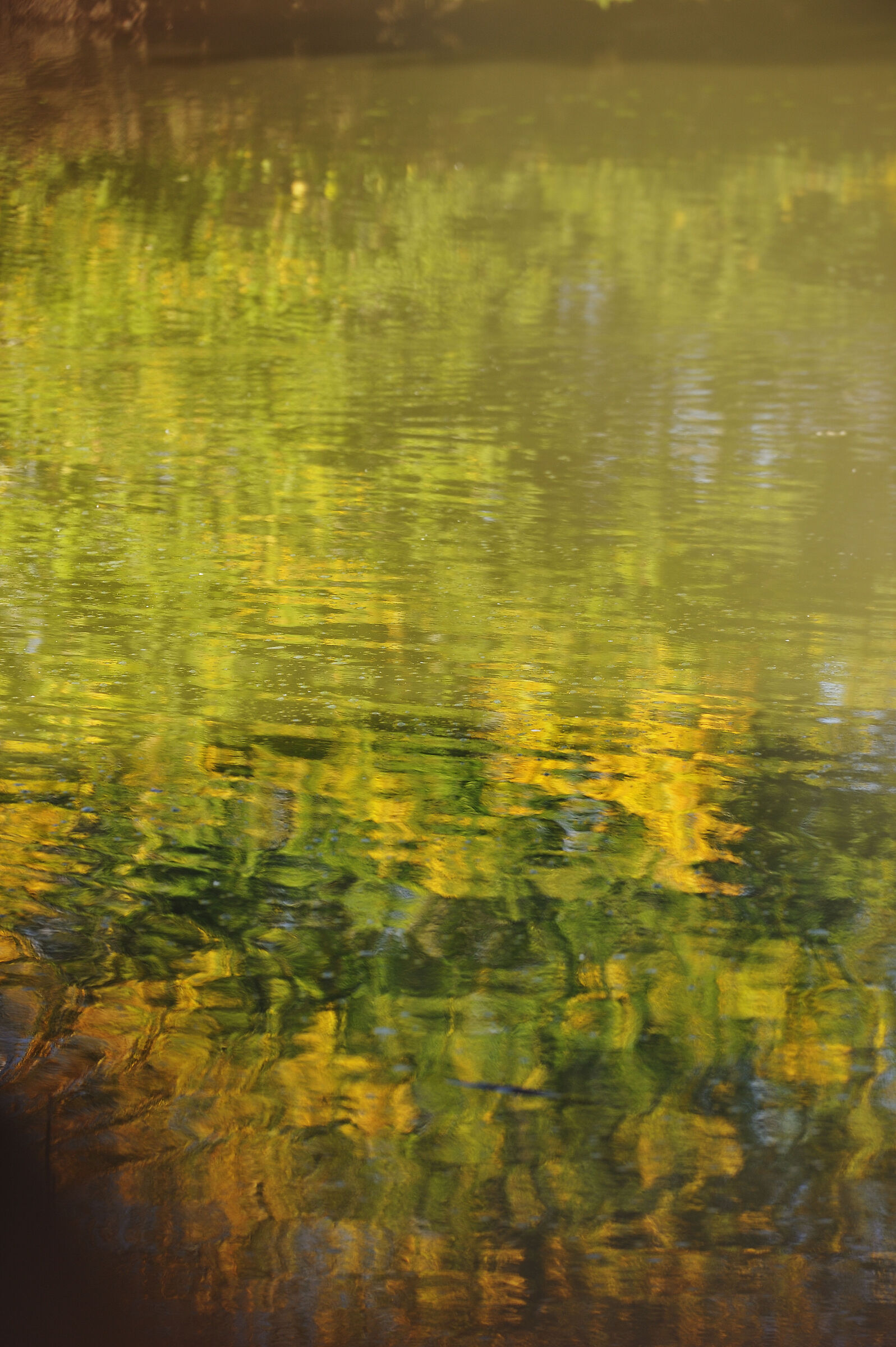 Colors and reflections in the water