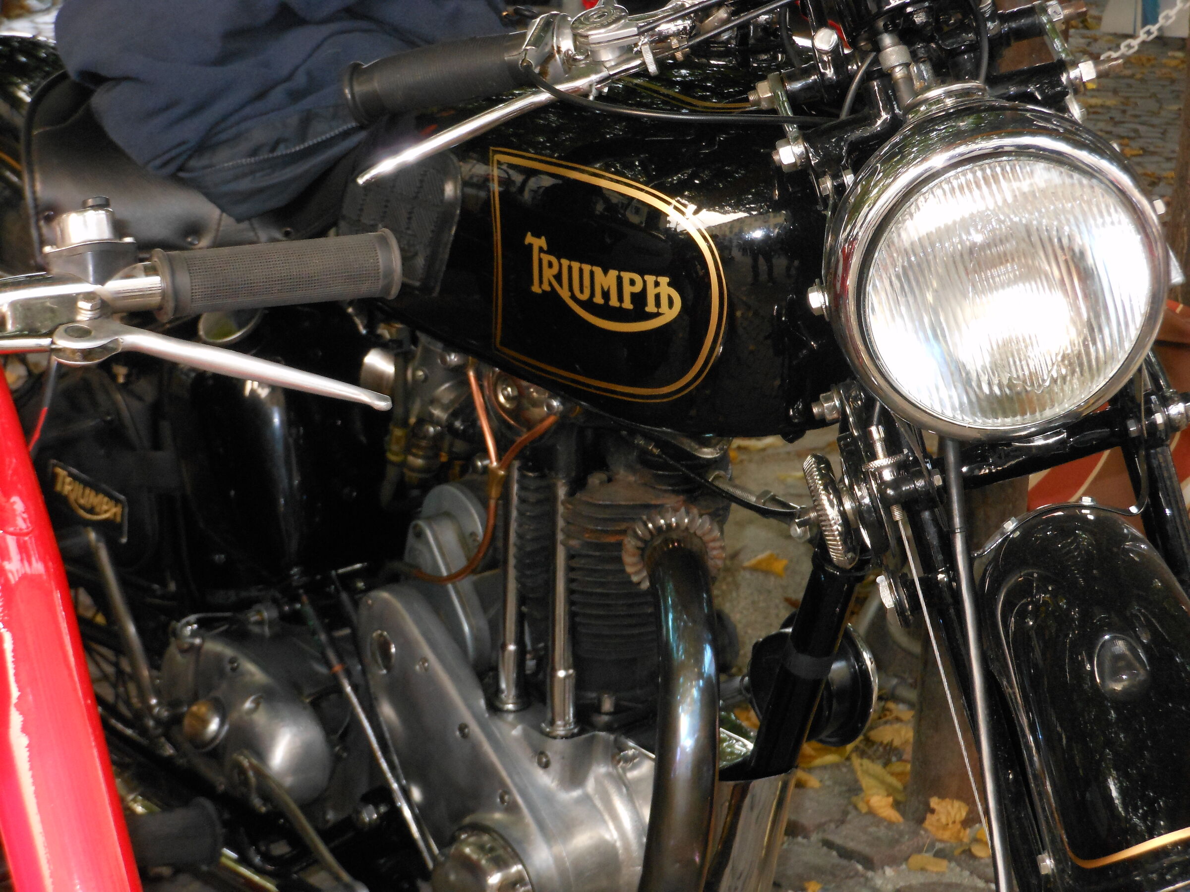 Triumph old