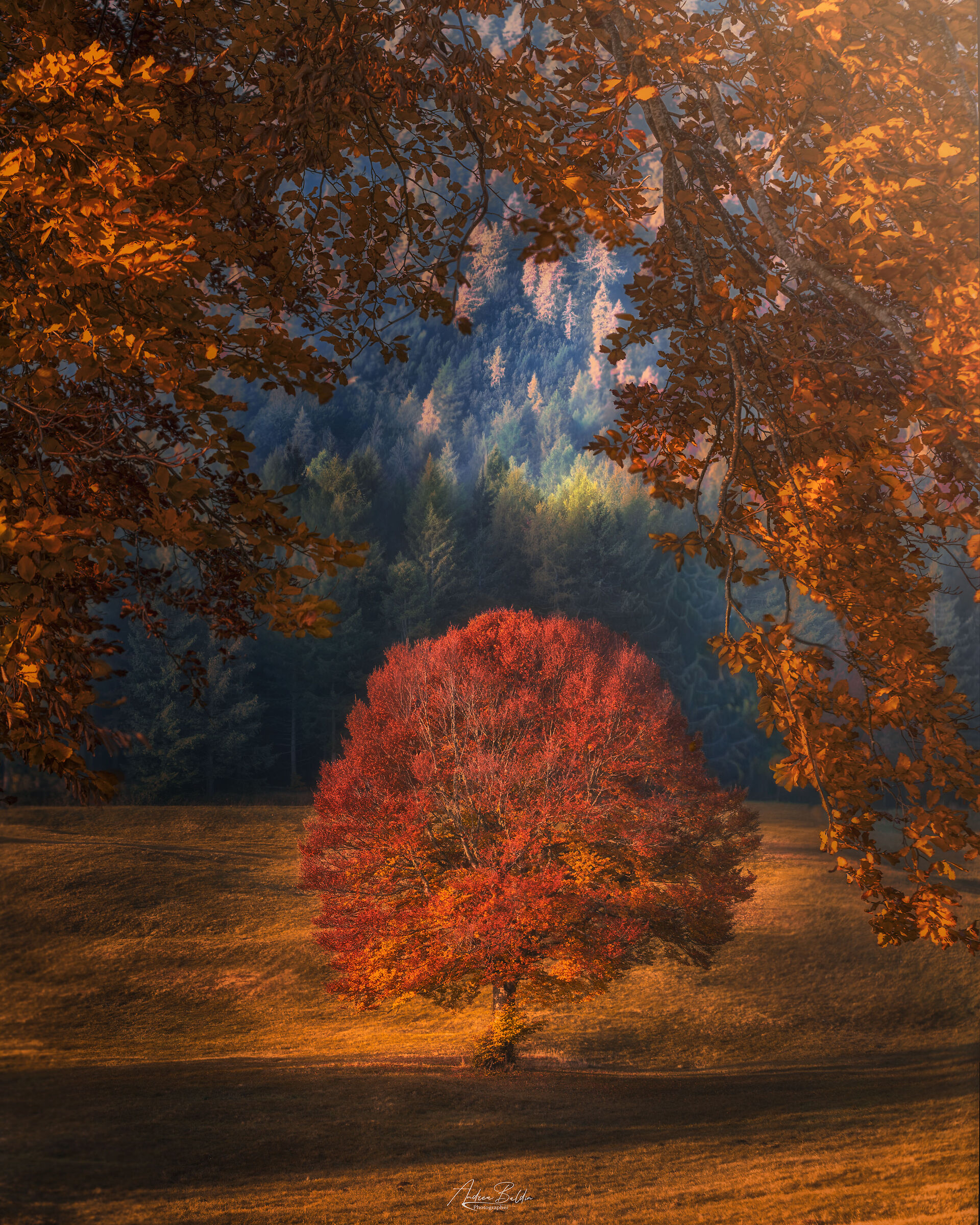 The colors of autumn