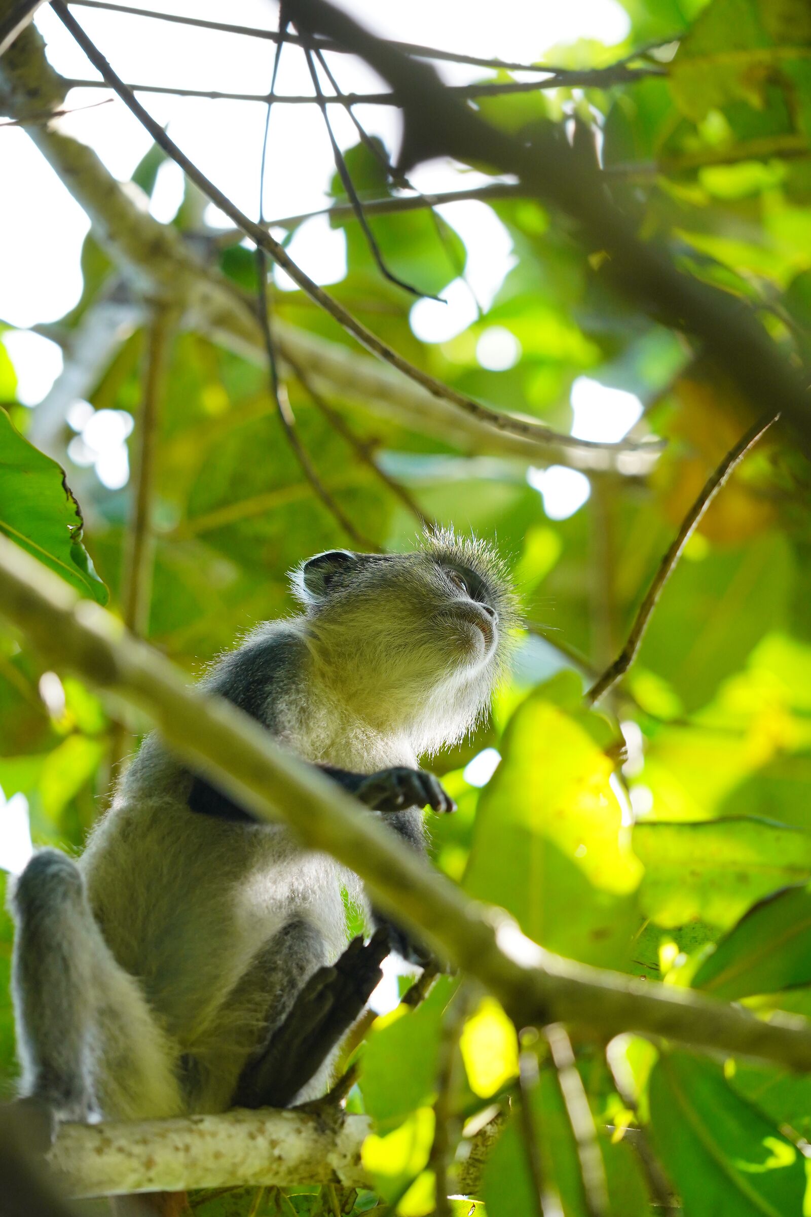 What are you looking at?