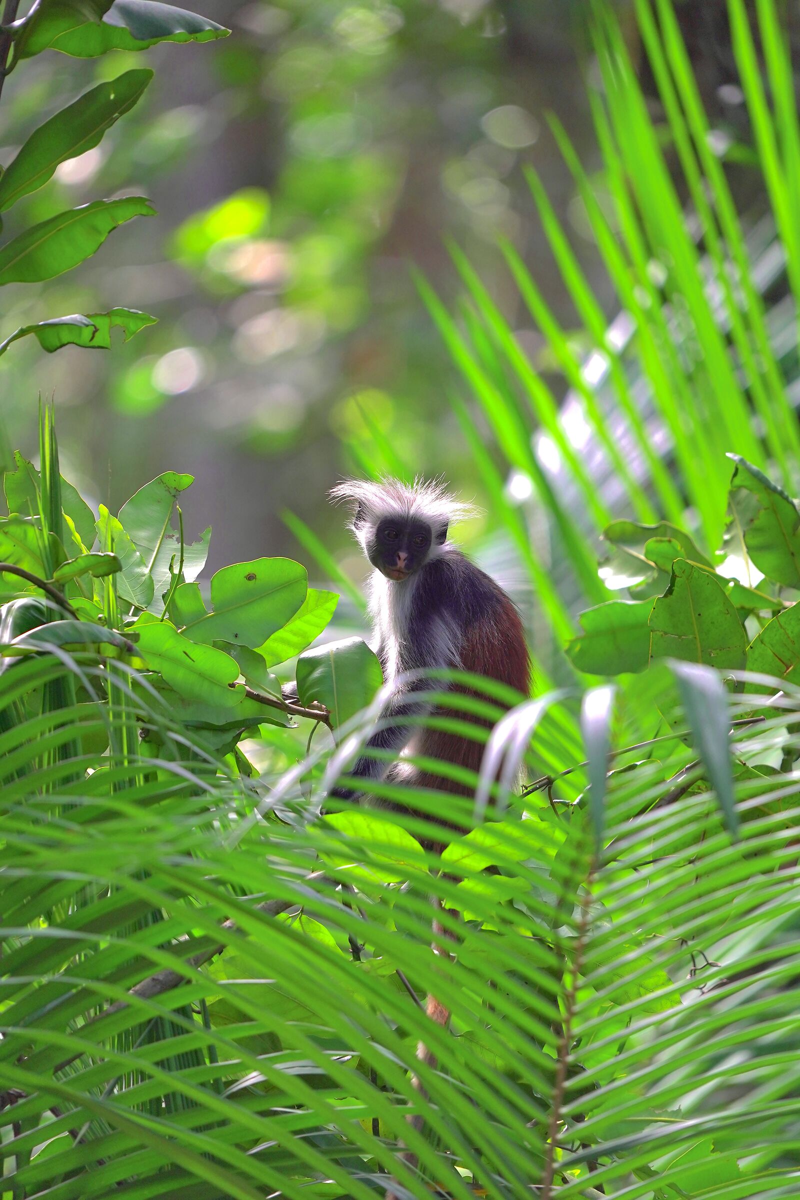 Now what do you want?