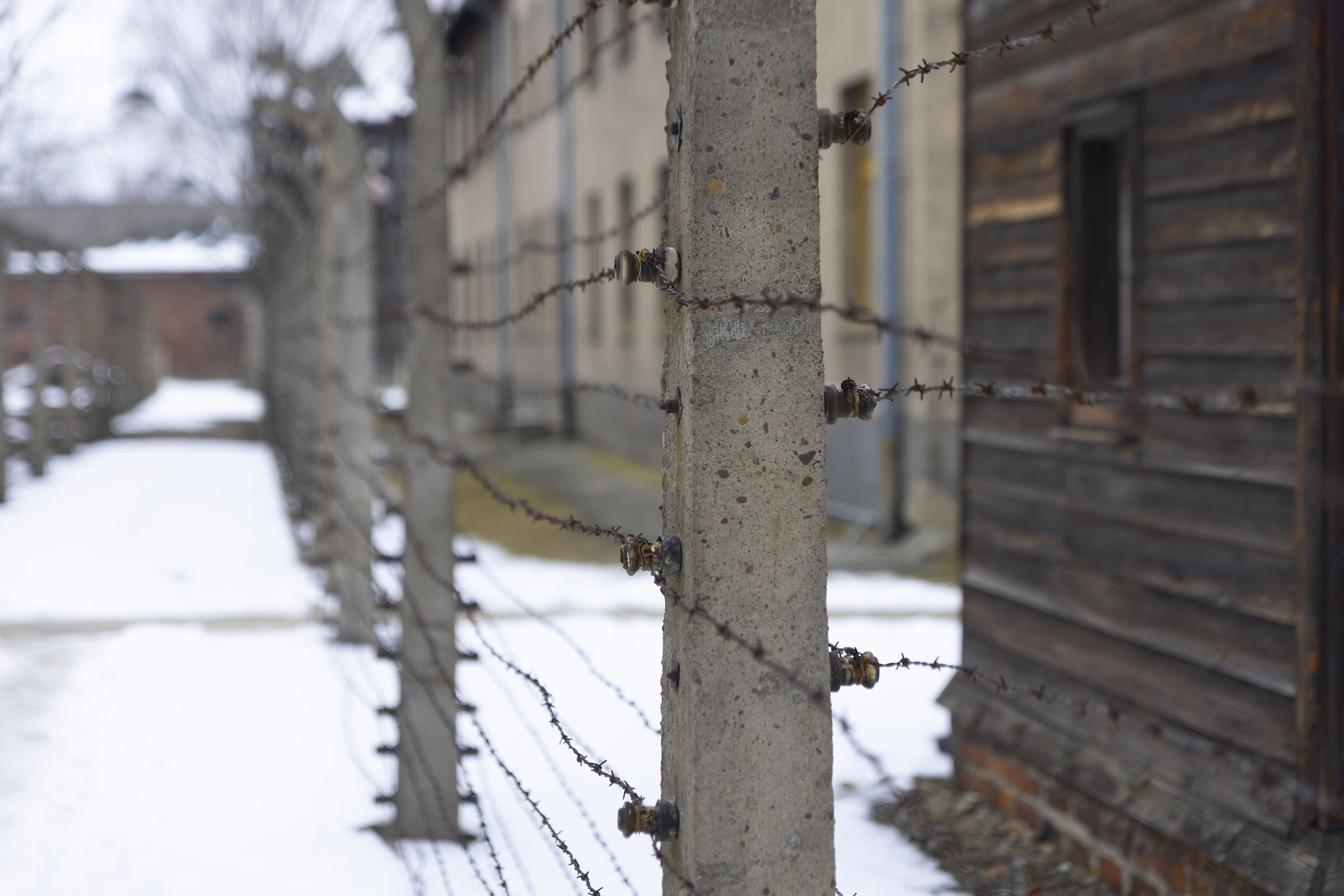 Freeze, Pain, Segregation, Starvation, Fear...