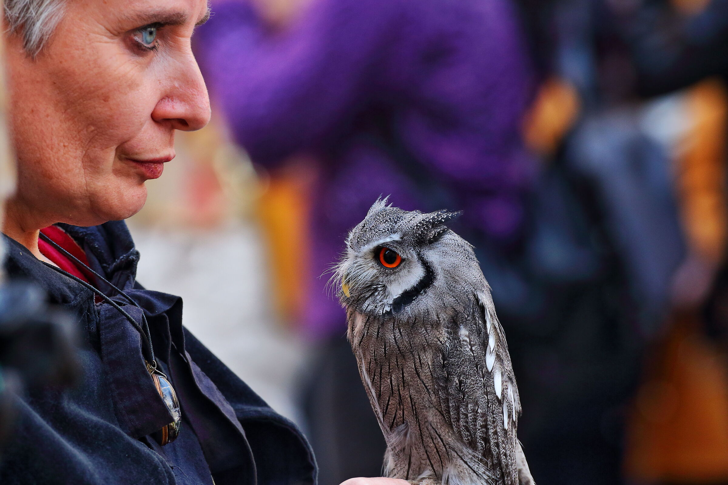 The falconers 01