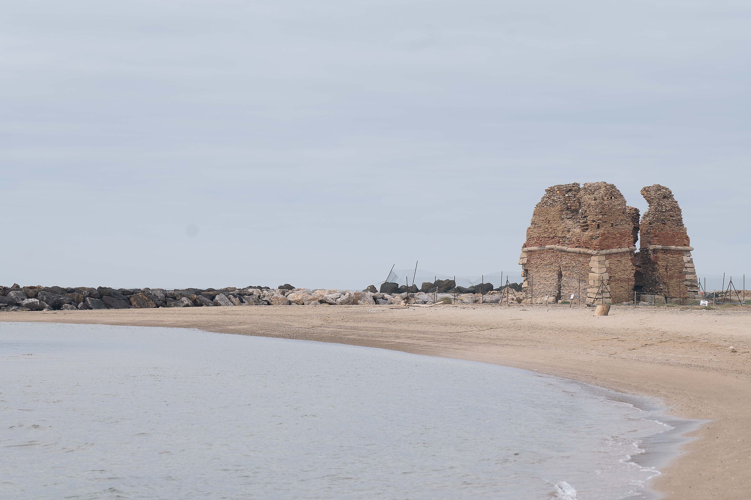Natural monument of the Torre Flavia Marsh
