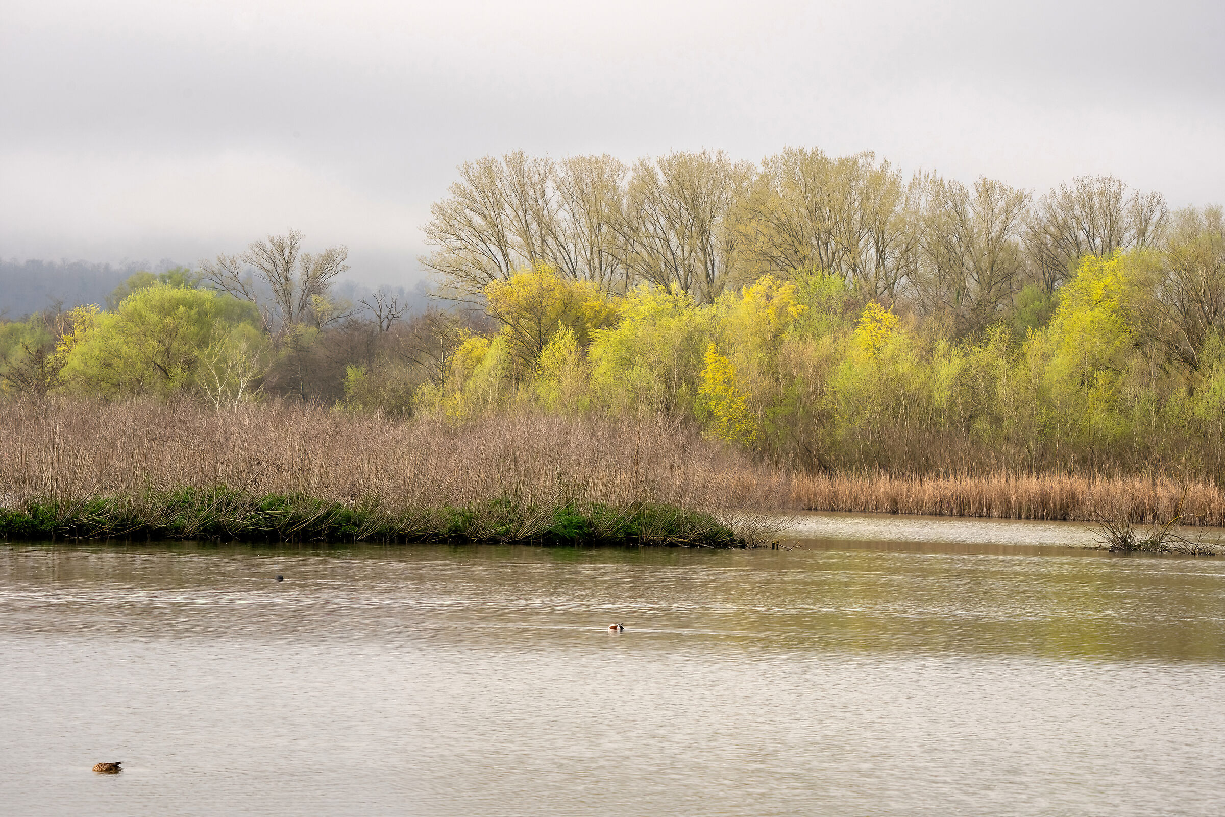 WWF Oasis Lake Alviano.
